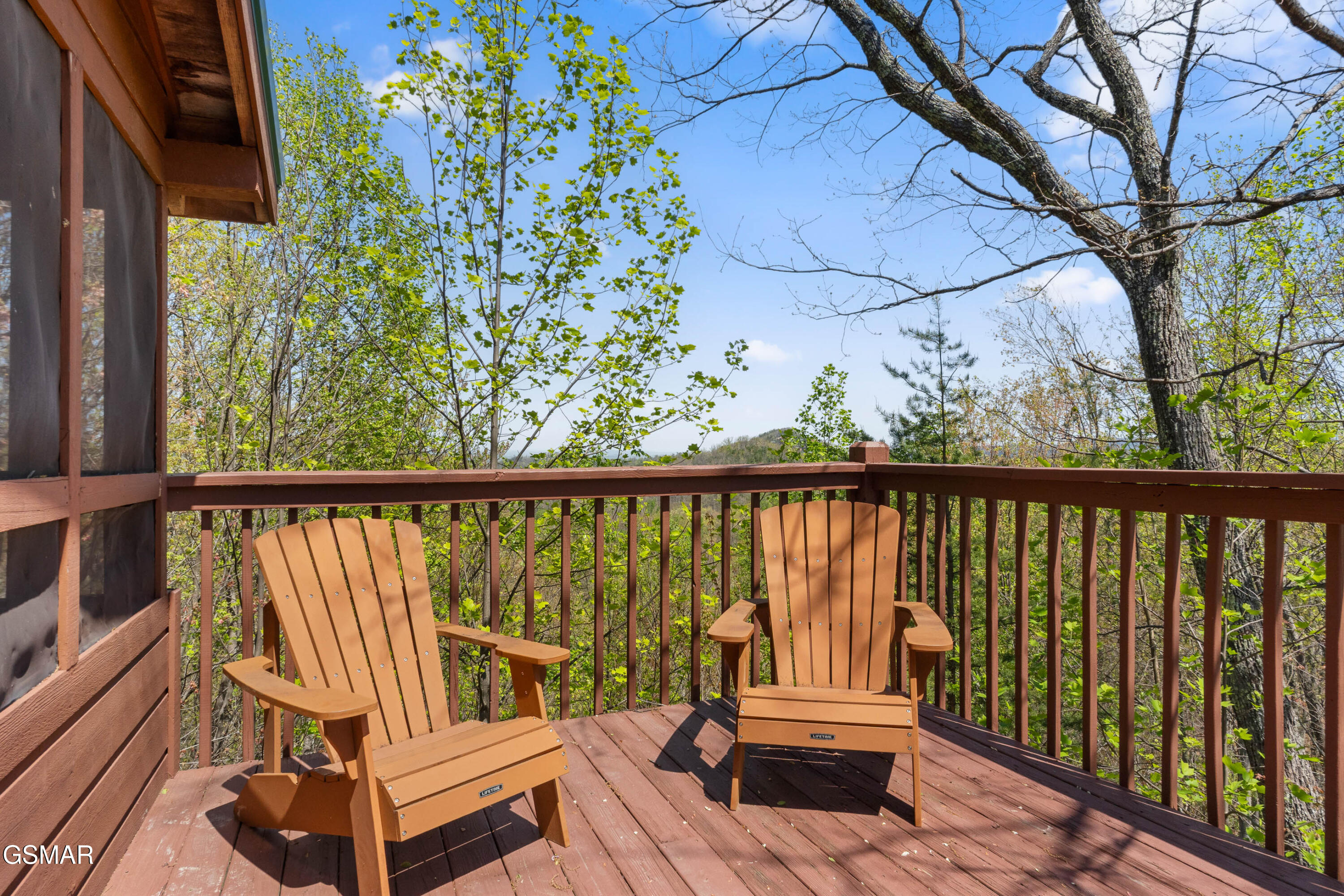 4388 Carolina Cove Way Pigeon Forge TN 37863