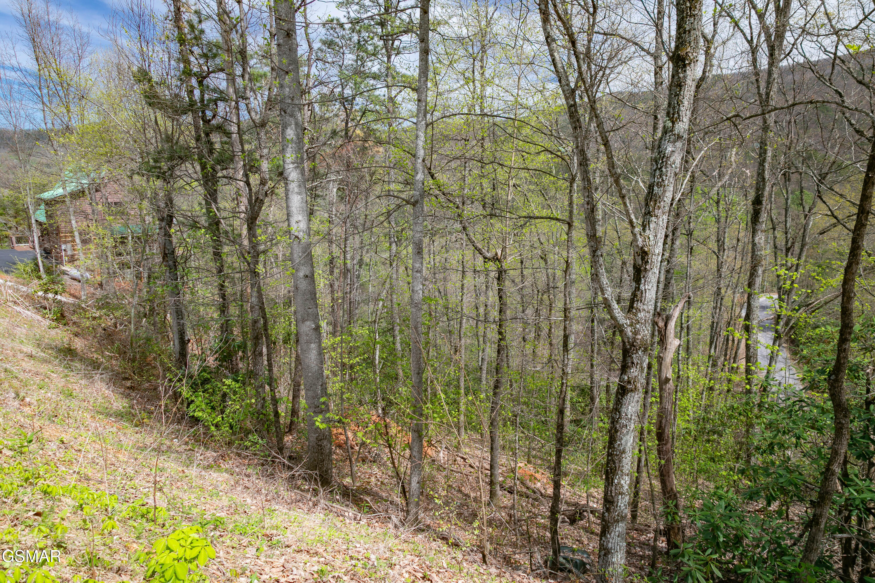 3059 Perry Circle & Lot 11 Lane Sevierville TN 37862