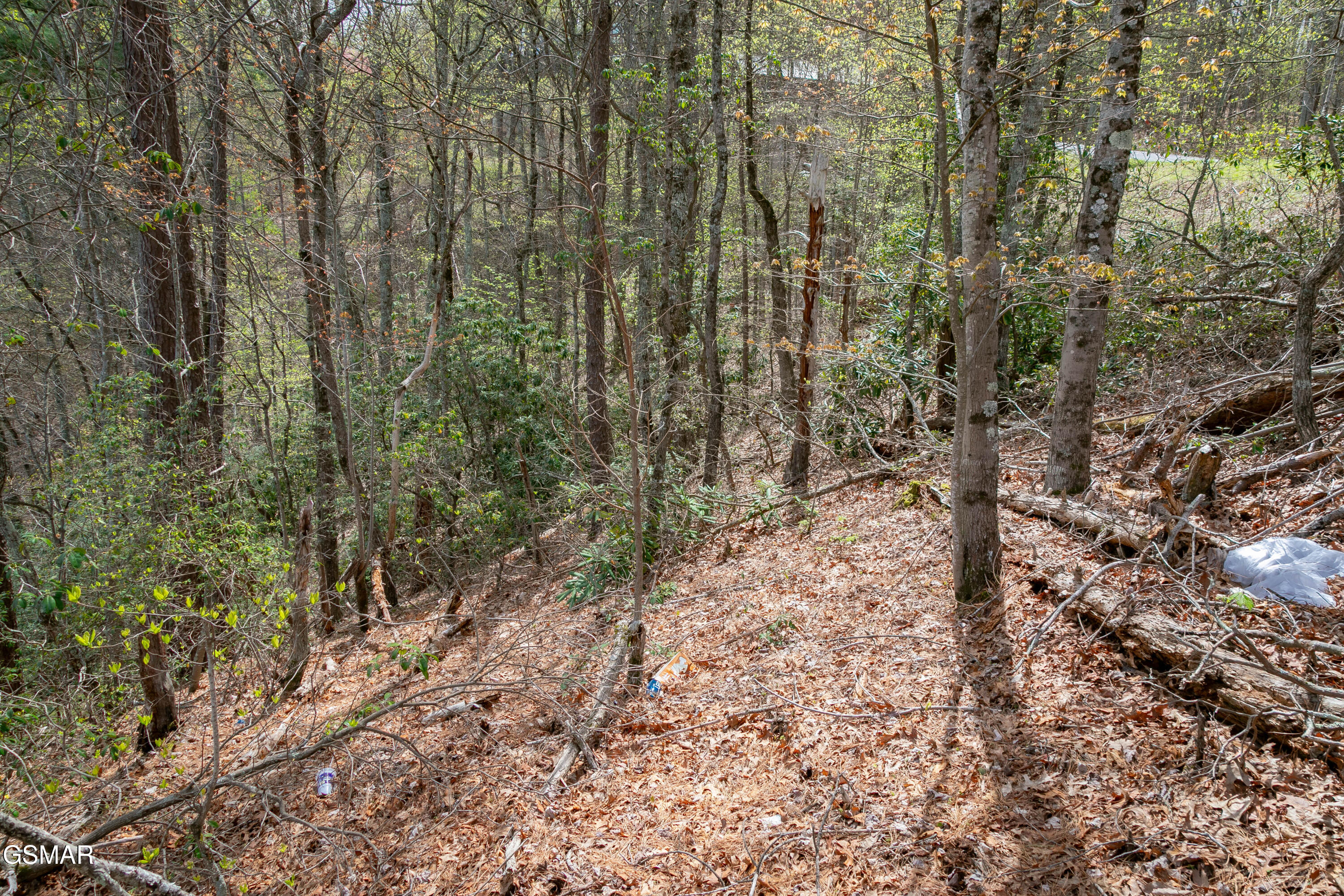 3059 Perry Circle & Lot 11 Lane Sevierville TN 37862