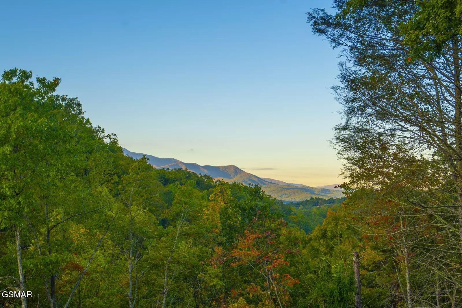 821 Sunshine Trail Gatlinburg TN 37738
