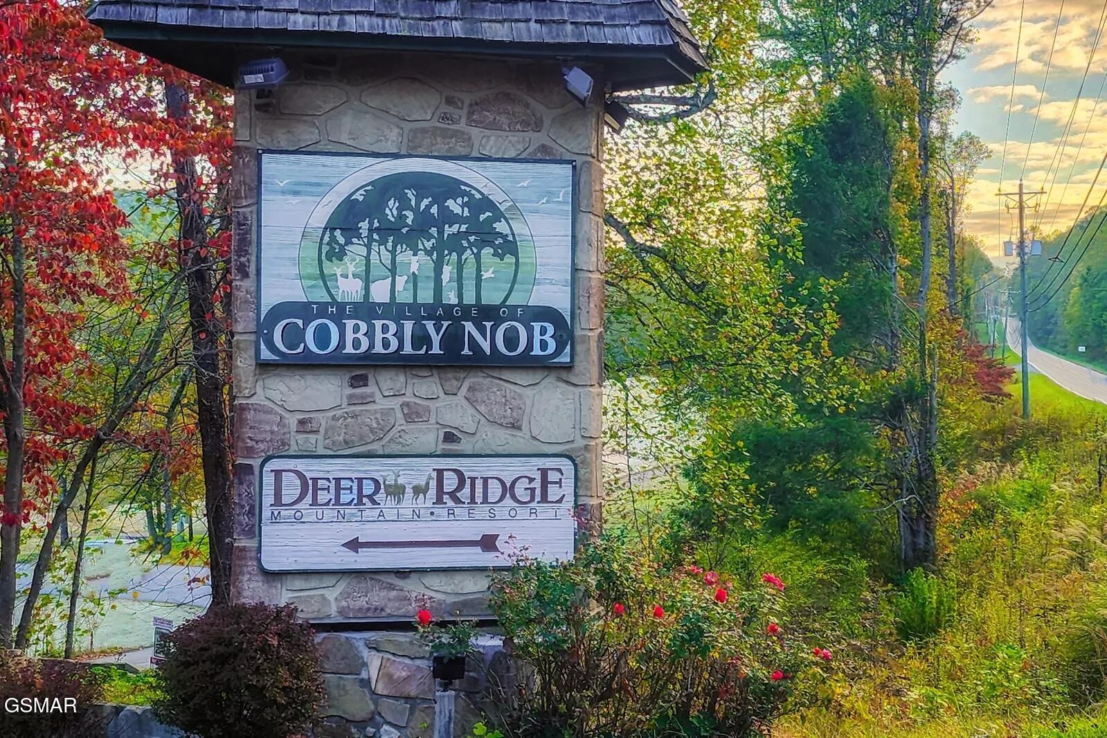 821 Sunshine Trail Gatlinburg TN 37738