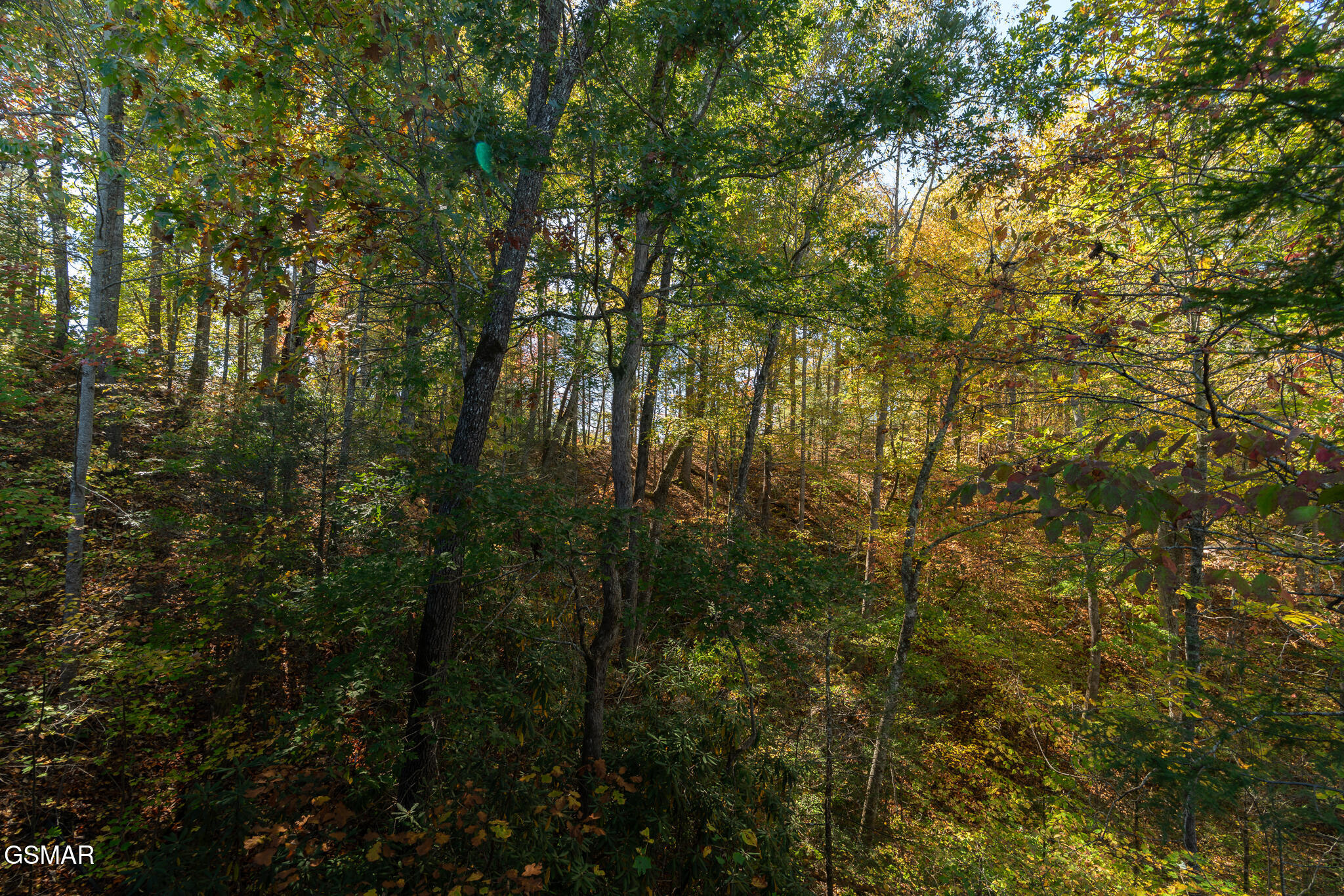 753 Glory Ridge Way Gatlinburg TN 37738