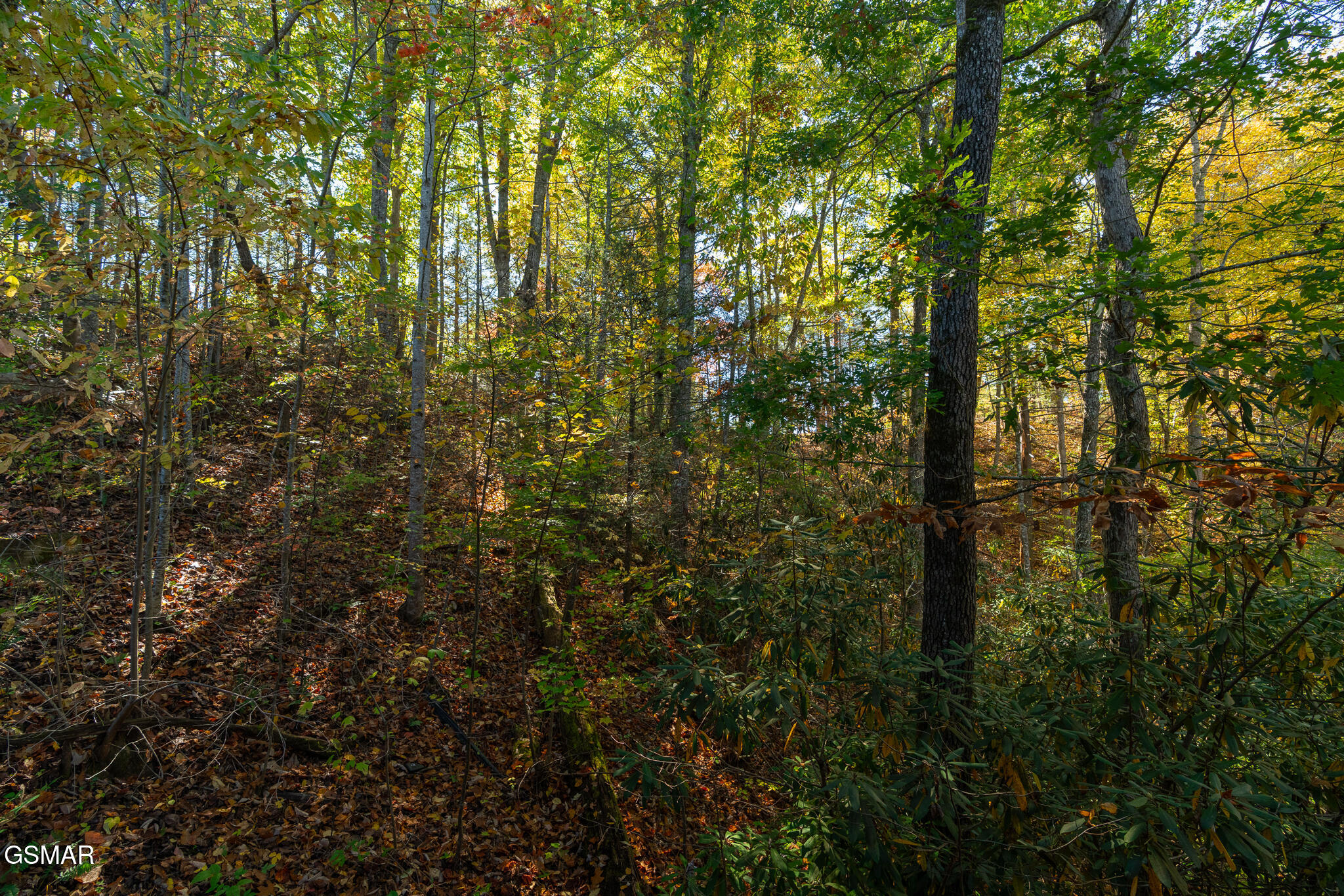 753 Glory Ridge Way Gatlinburg TN 37738