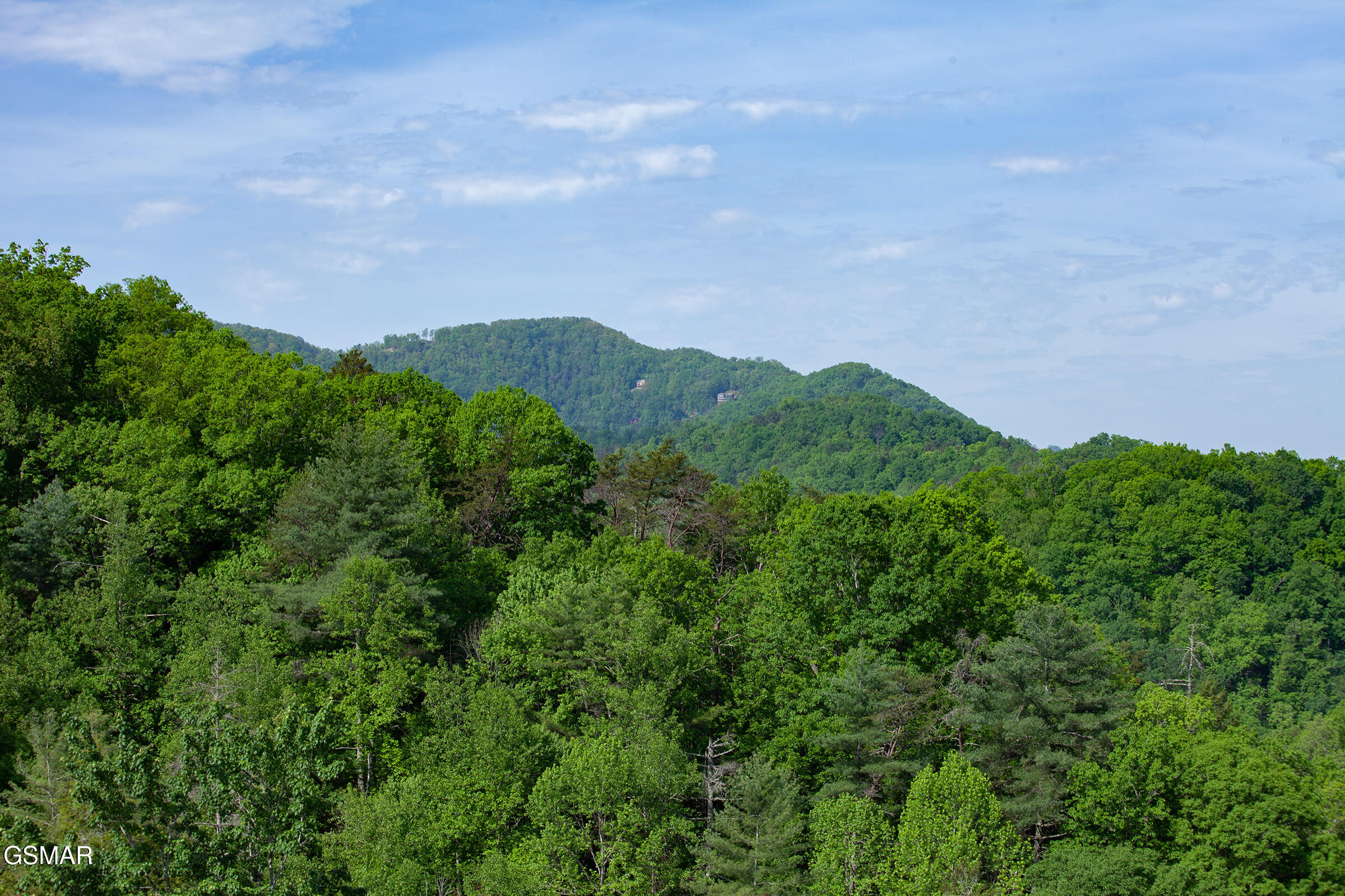 2344 Coopers Hawk Way Sevierville TN 37862