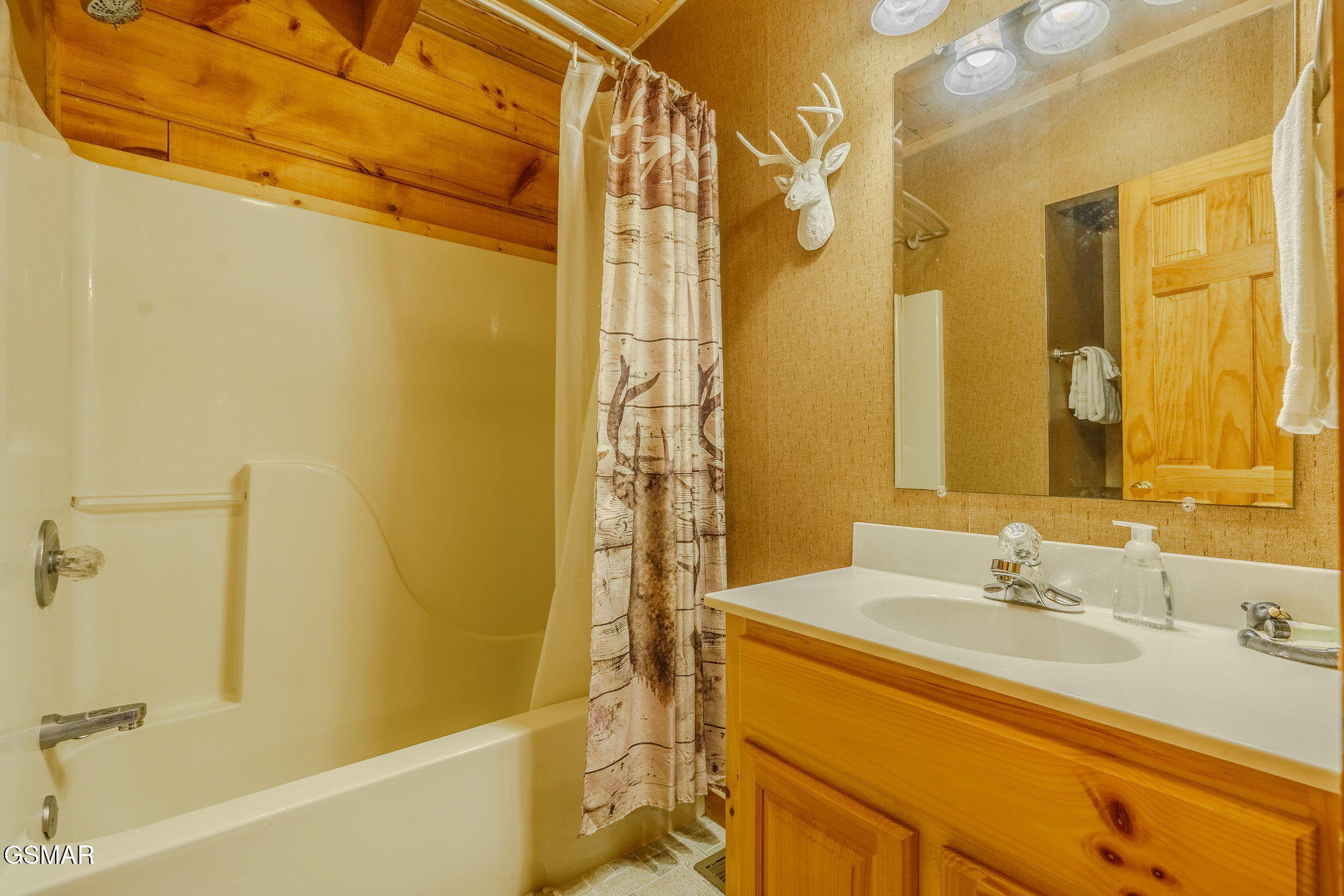 4320 Carolina Cove Way Pigeon Forge TN 37863