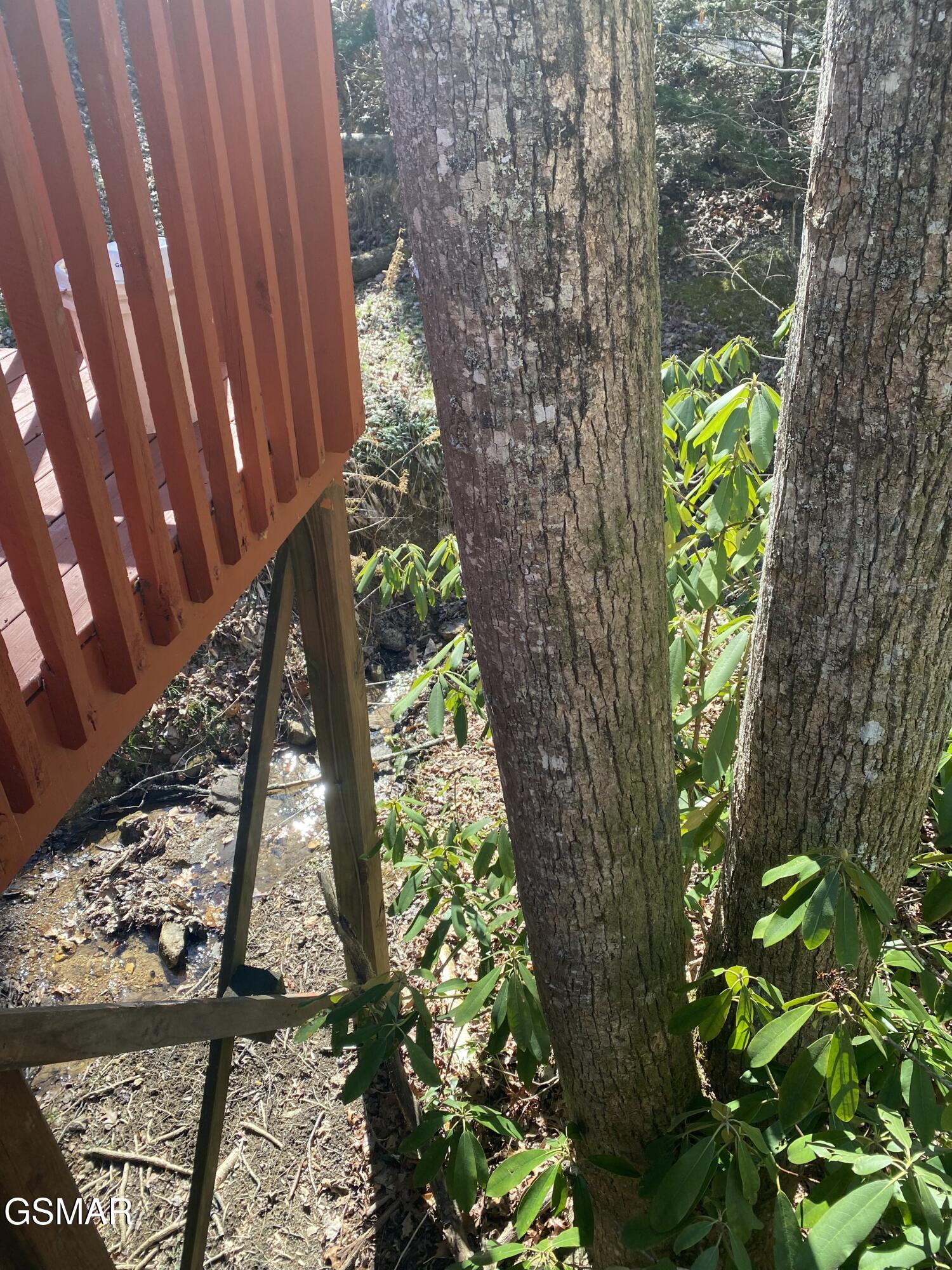 1823 Laurel Valley Way Sevierville TN 37862