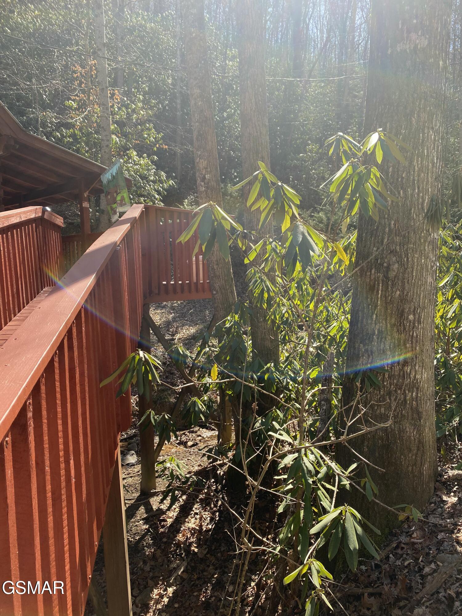 1823 Laurel Valley Way Sevierville TN 37862