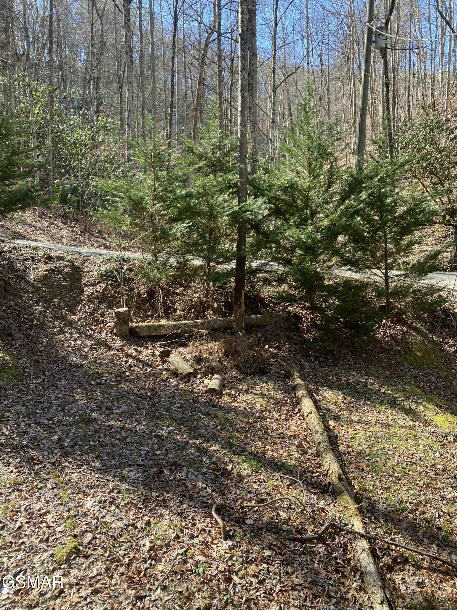 1823 Laurel Valley Way Sevierville TN 37862