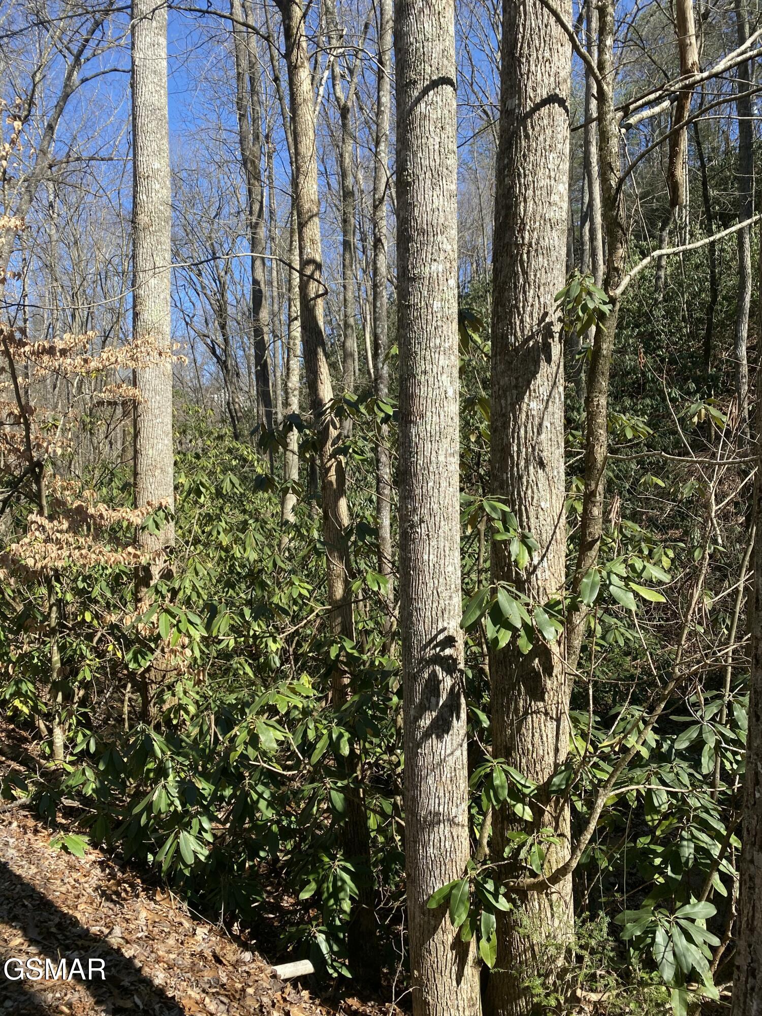 1823 Laurel Valley Way Sevierville TN 37862