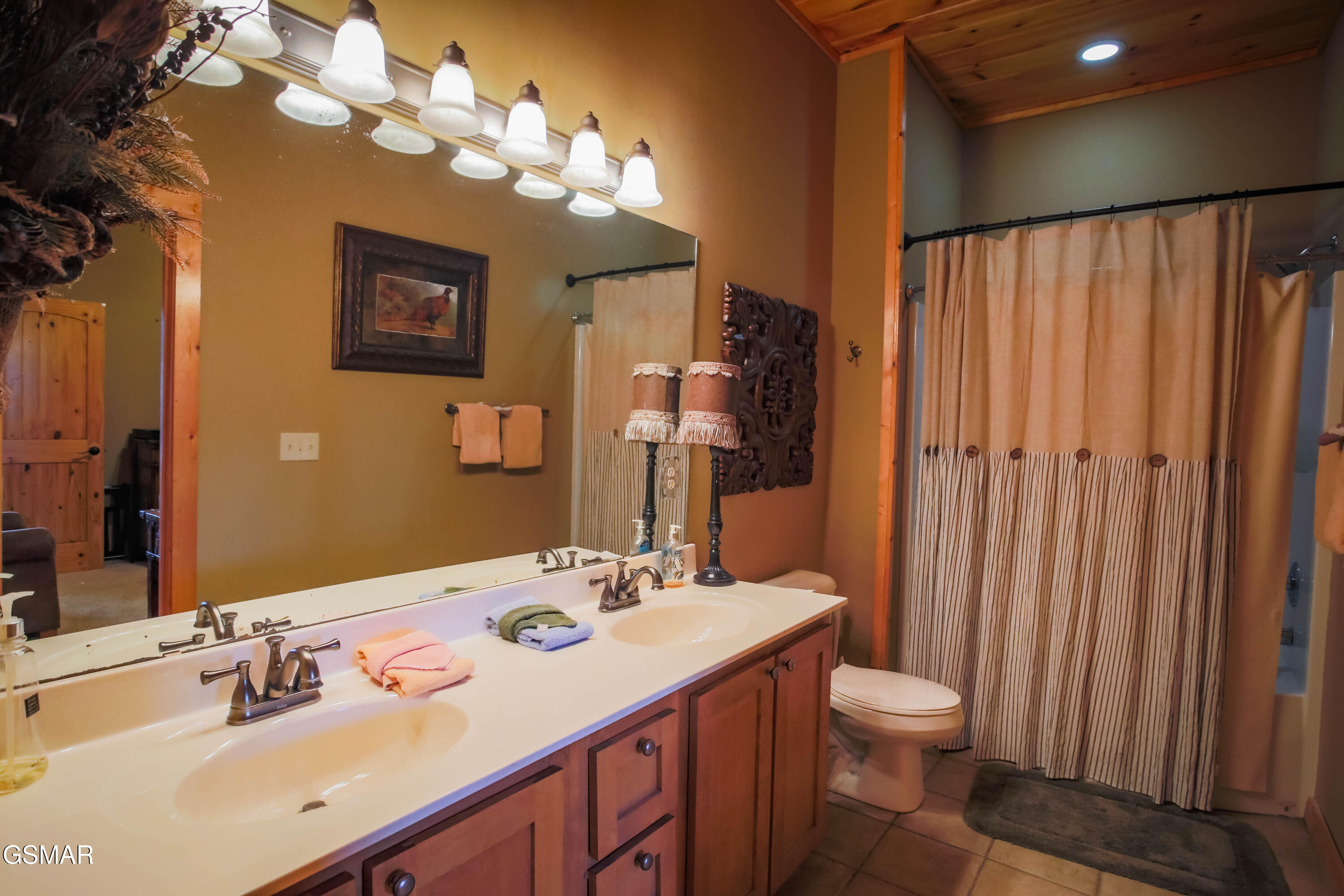 4248 Teaberry Vista Lane Sevierville TN 37862