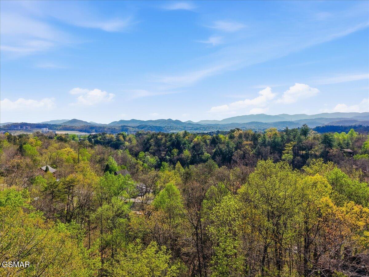 623 Country Oaks Drive Pigeon Forge TN 37863