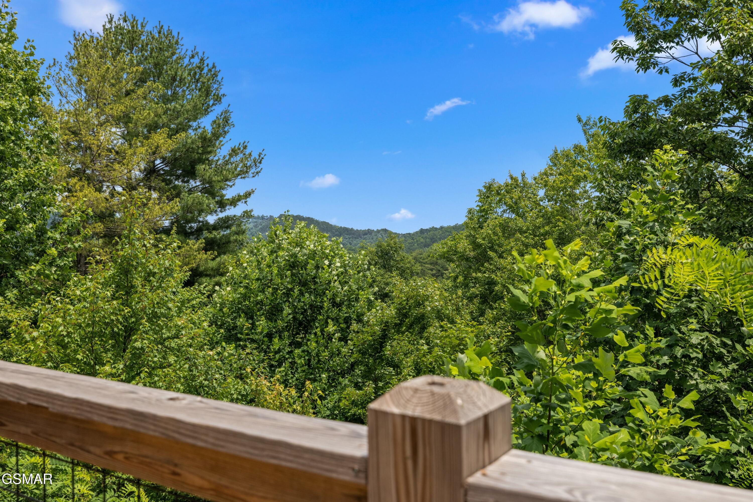 Sevierville TN