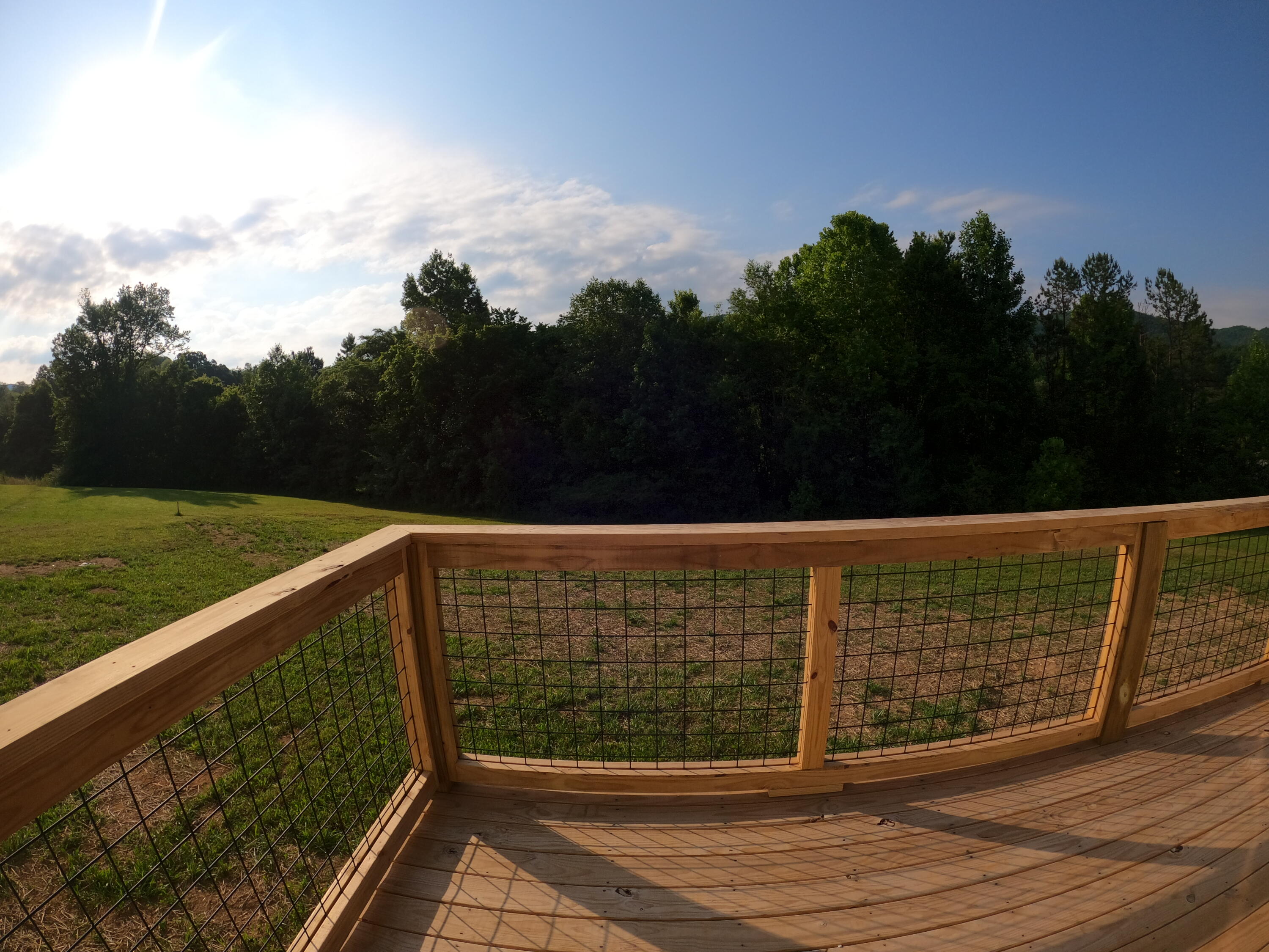 2520 Schisandra Lane Cosby TN 37722