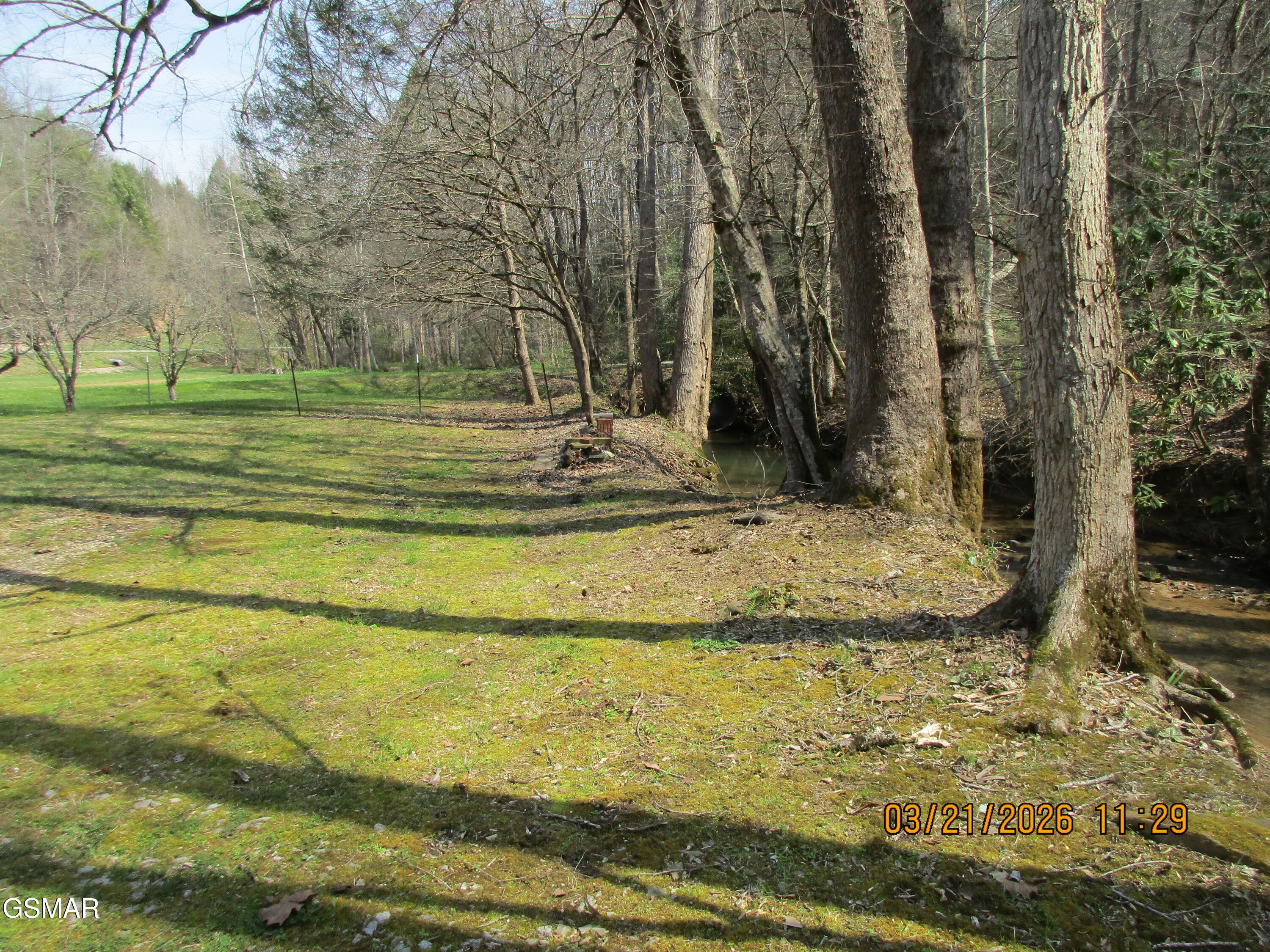 4902 Bogard Road Cosby TN 37722