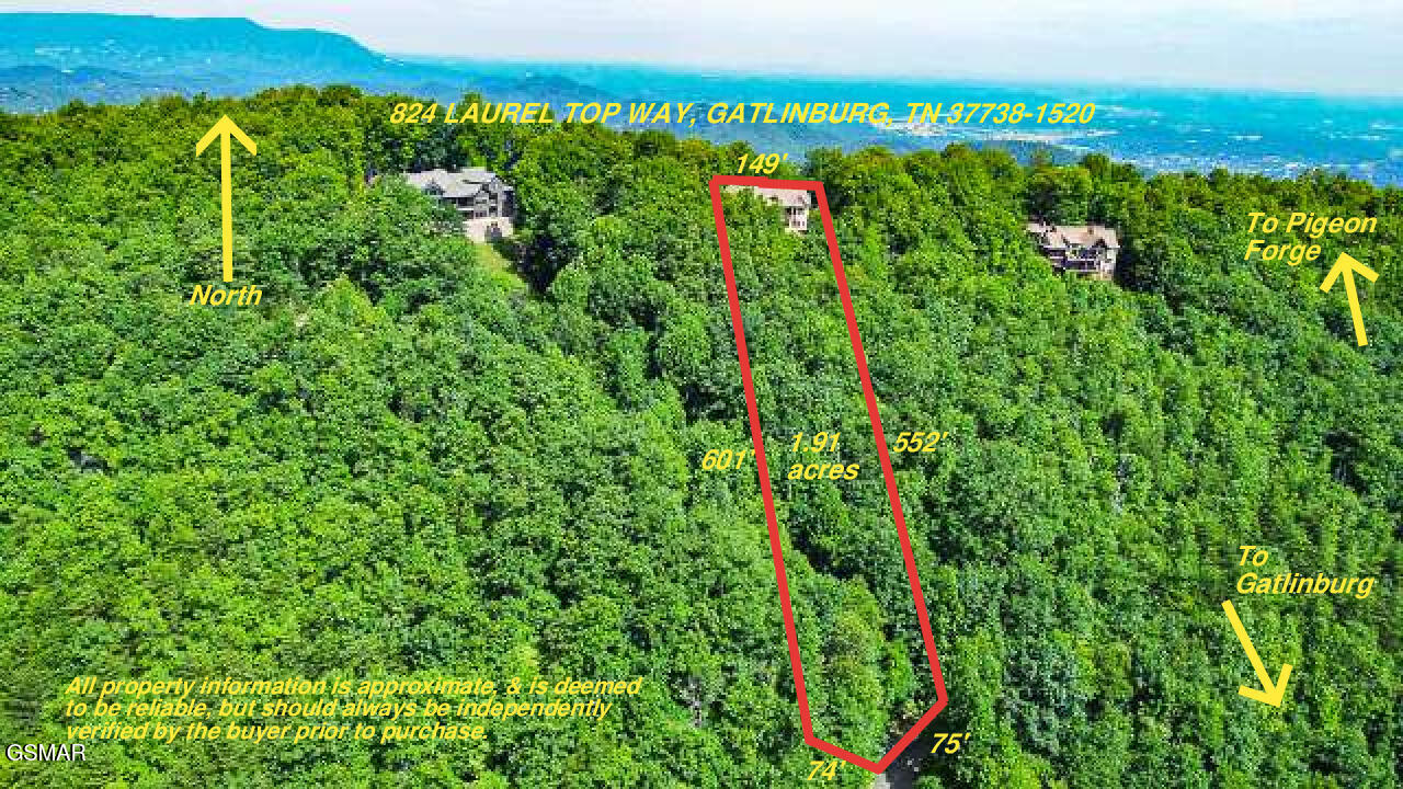 824 Laurel Top Way Gatlinburg TN 37738