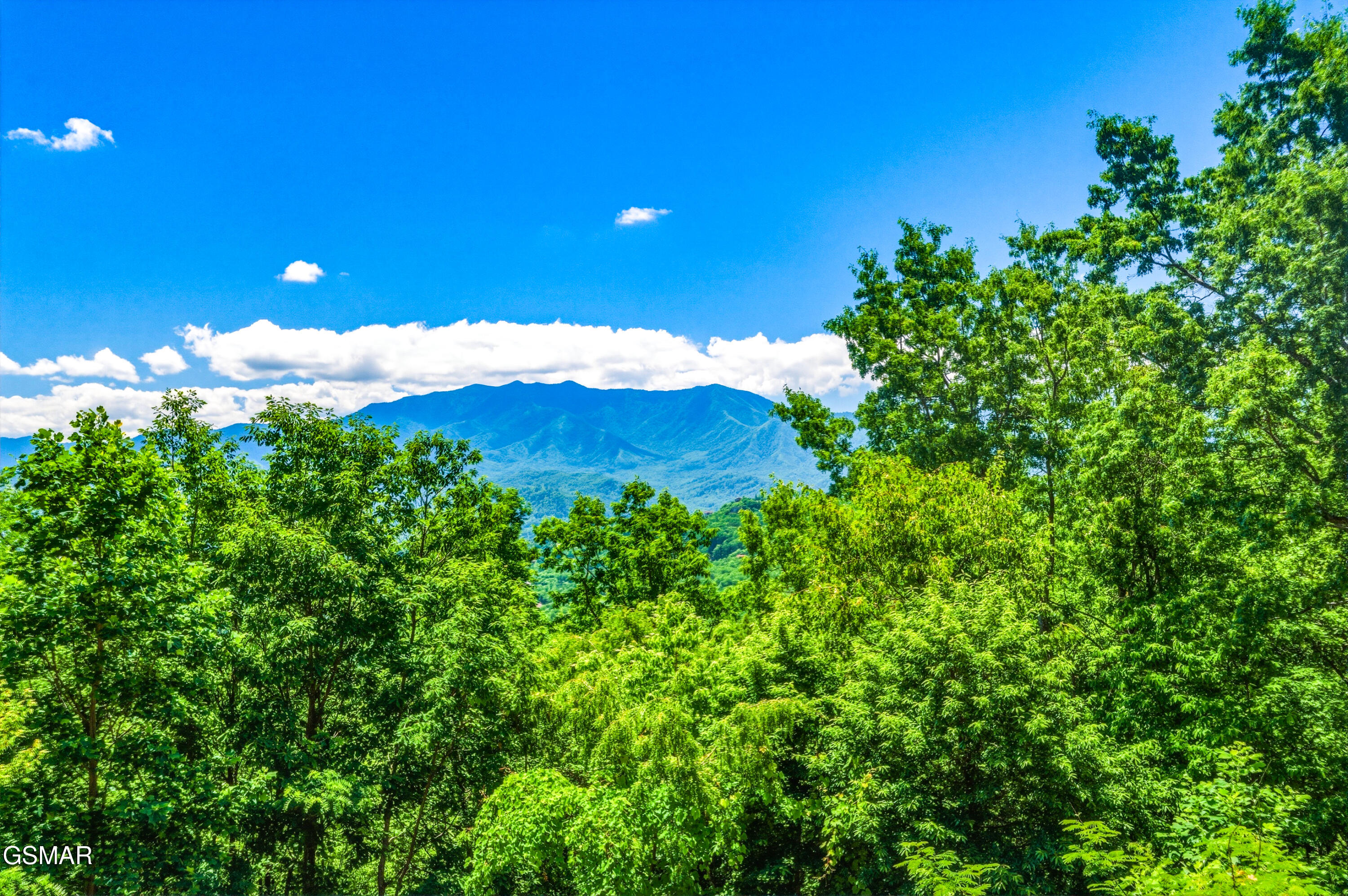 824 Laurel Top Way Gatlinburg TN 37738