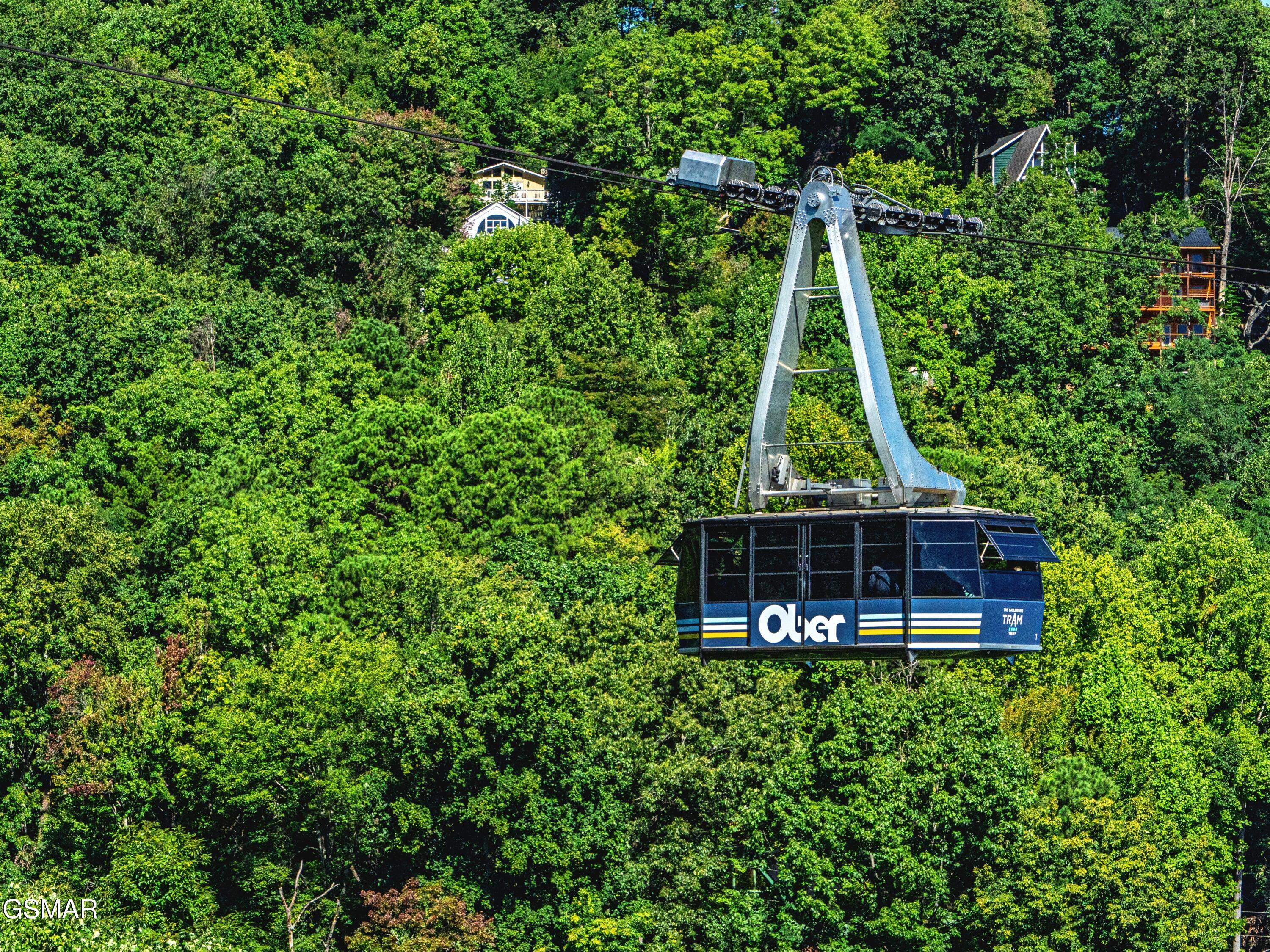 1839 Zurich Court Gatlinburg TN 37738