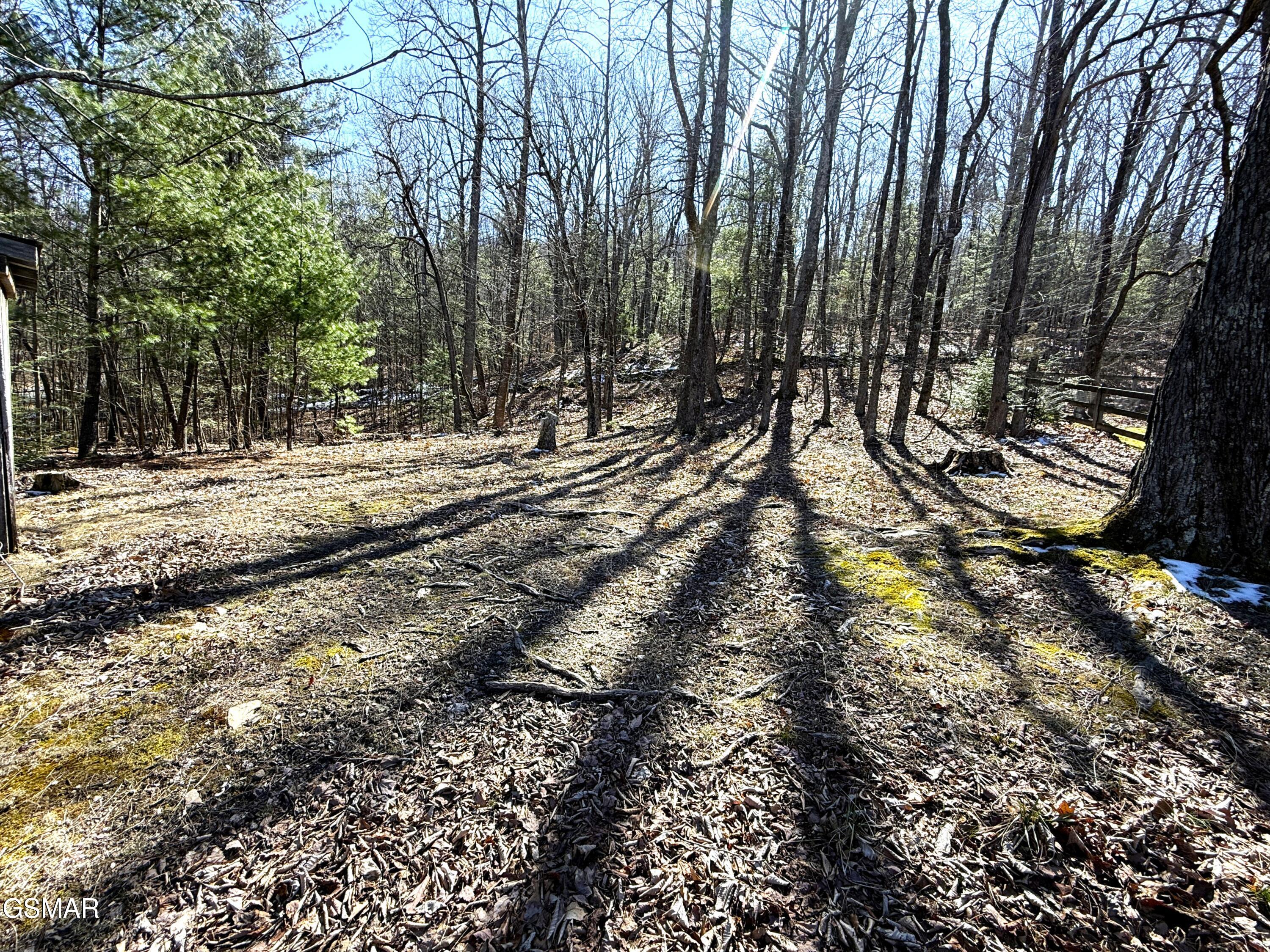 990 Luna Way Parrottsville TN 37843