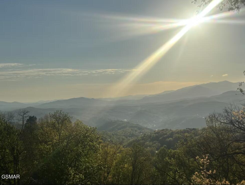 1274 Bear Cub Way Gatlinburg TN 37738