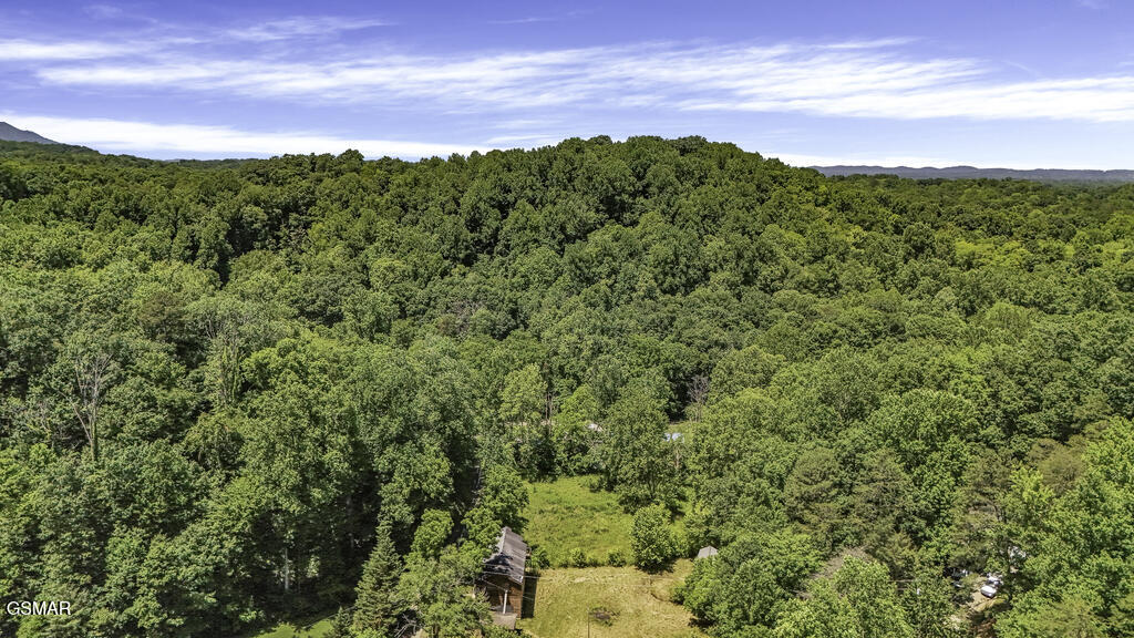 772 Goose Creek Road Seymour TN 37865