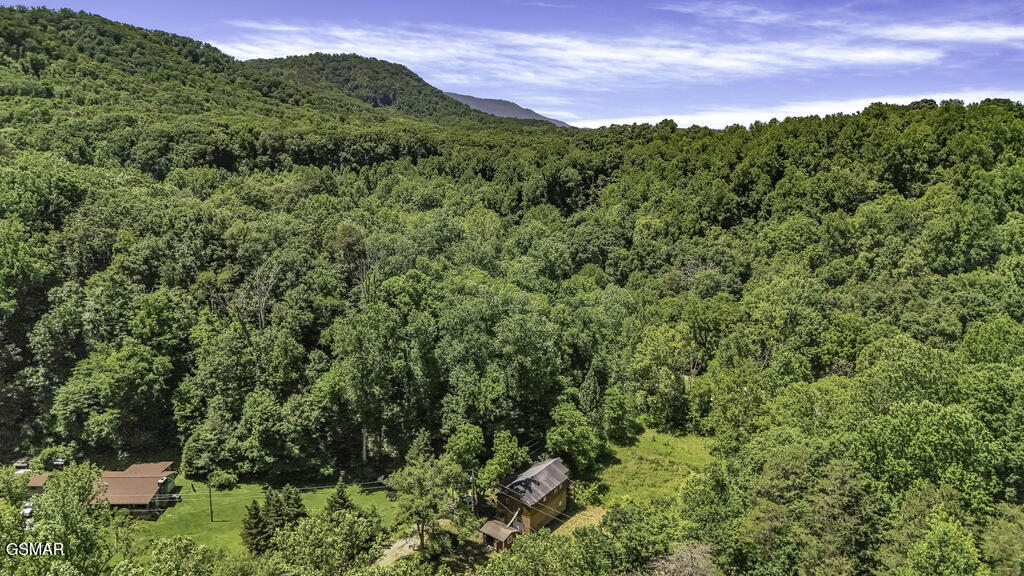 772 Goose Creek Road Seymour TN 37865