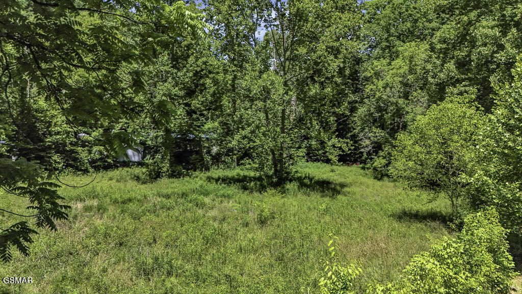 772 Goose Creek Road Seymour TN 37865