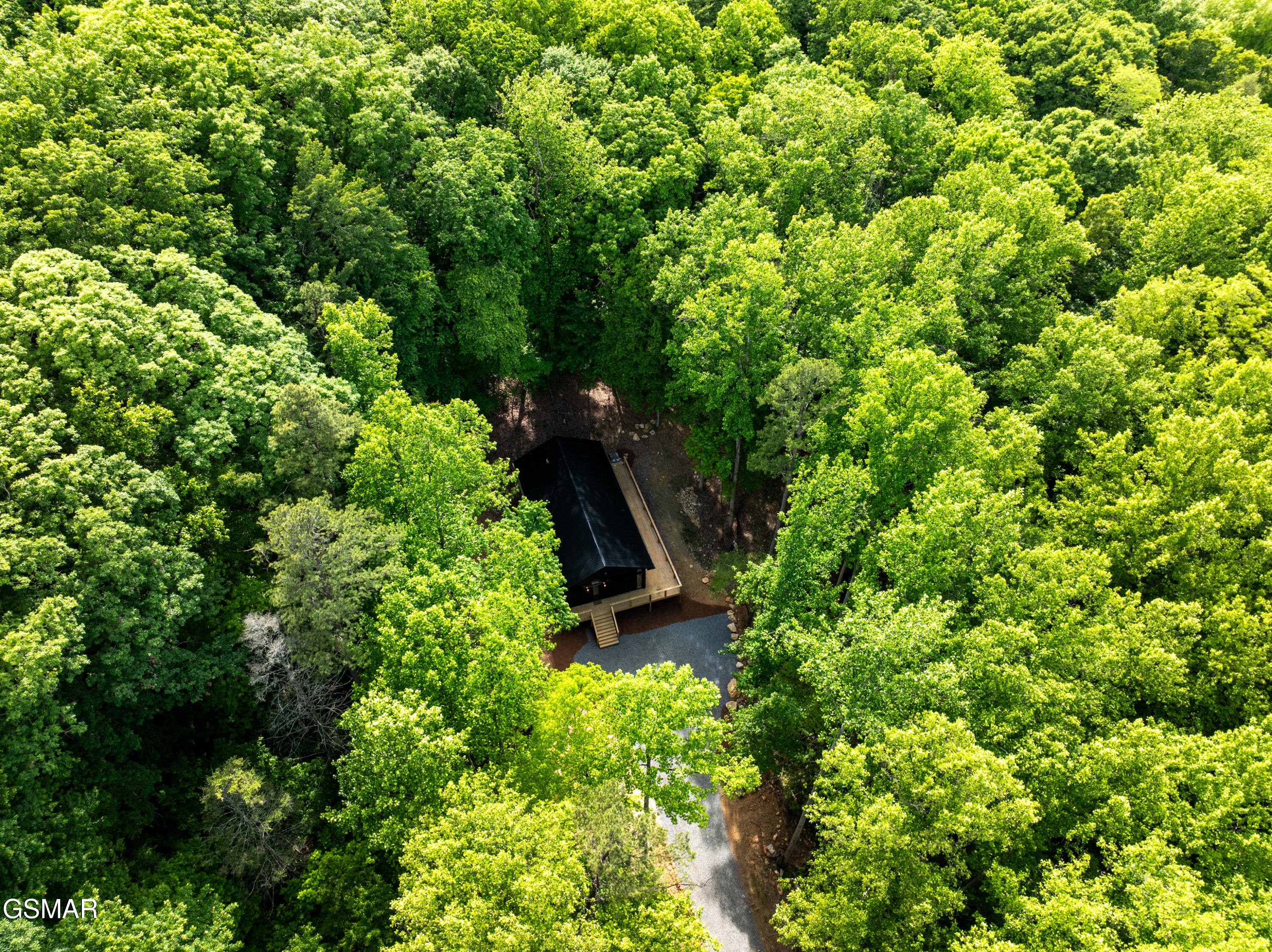 2799 Buckeye Drive Cosby TN 37722