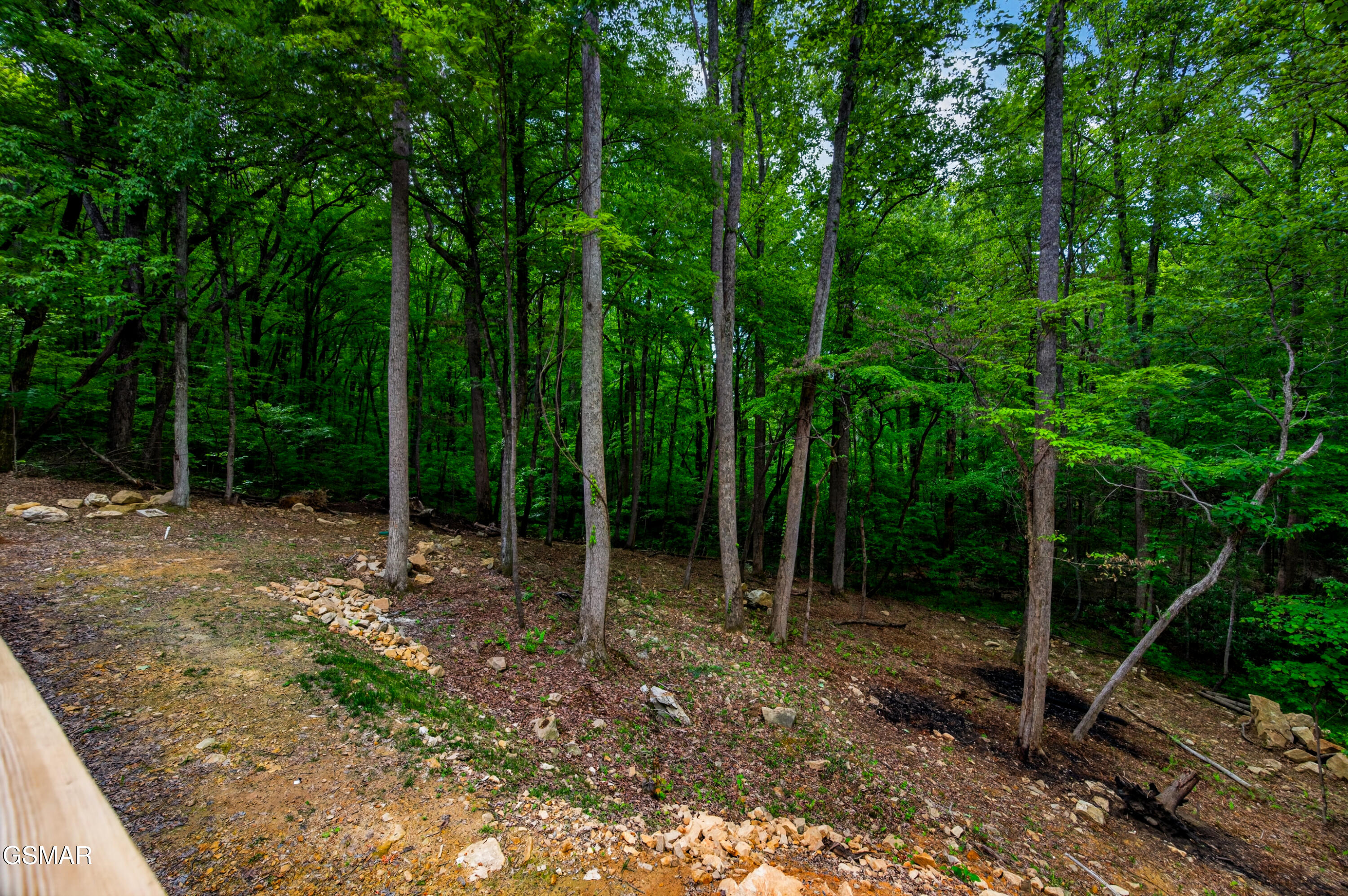 2799 Buckeye Drive Cosby TN 37722