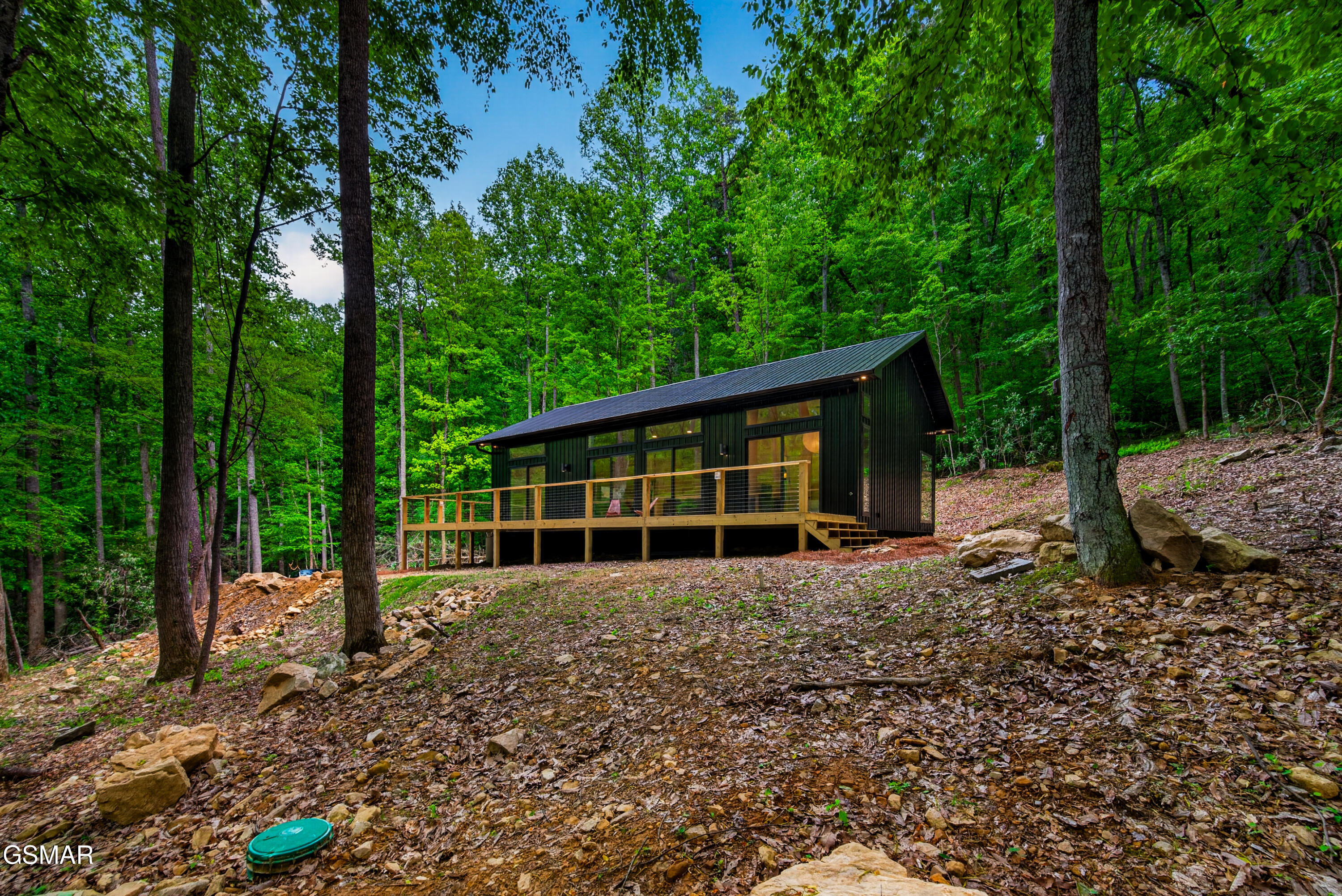 2799 Buckeye Drive Cosby TN 37722