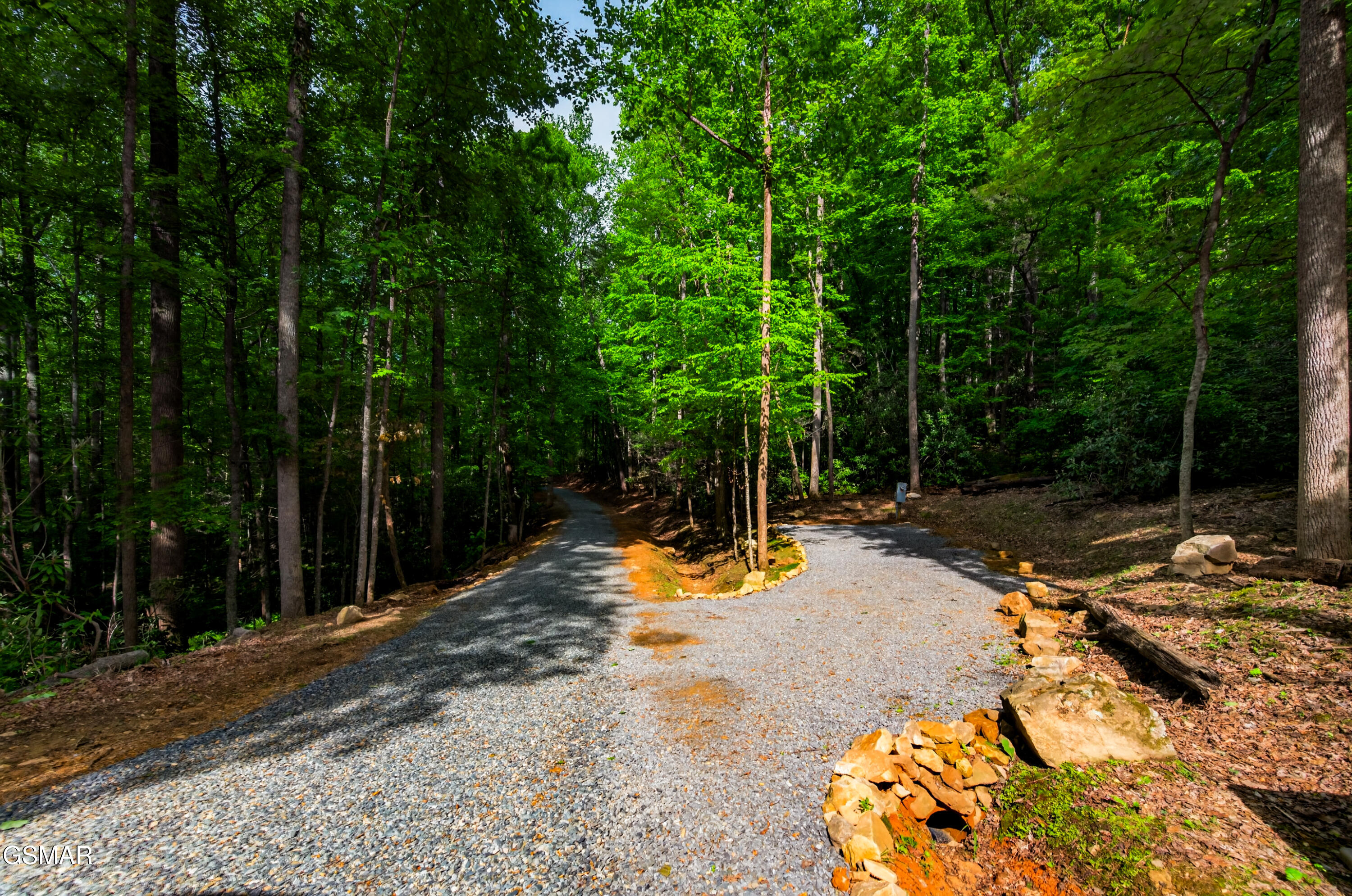 2799 Buckeye Drive Cosby TN 37722