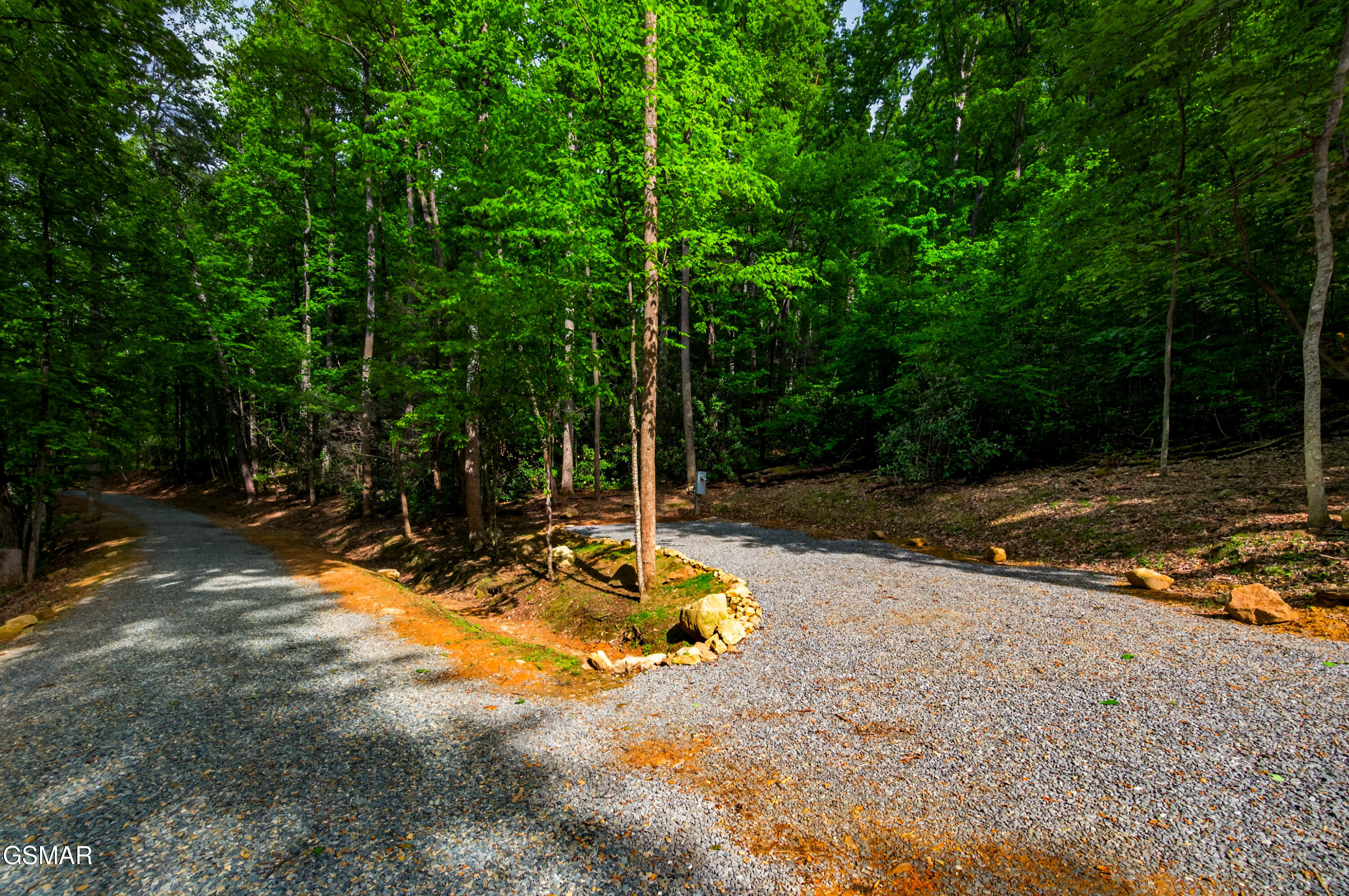 2799 Buckeye Drive Cosby TN 37722