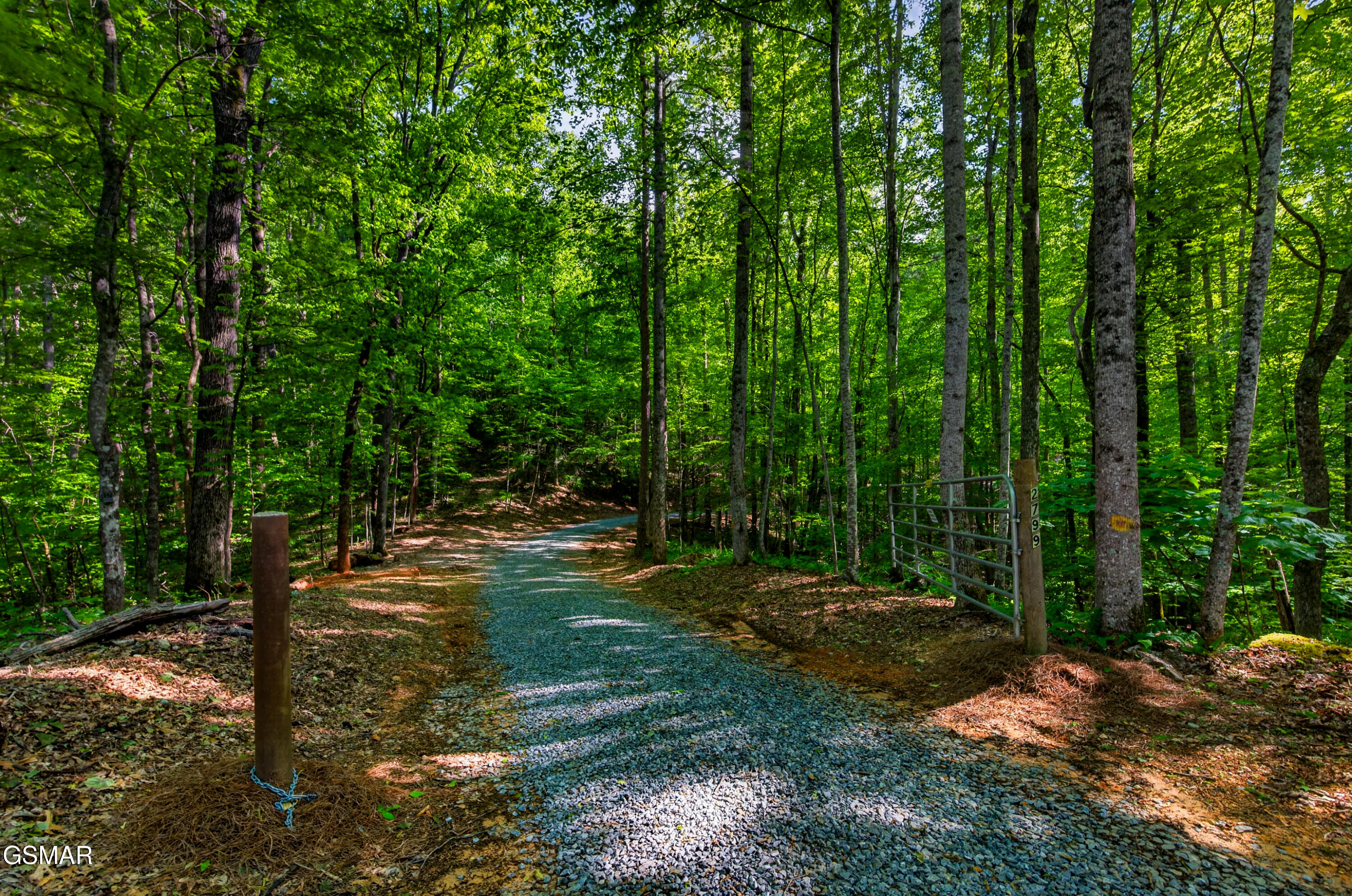 2799 Buckeye Drive Cosby TN 37722