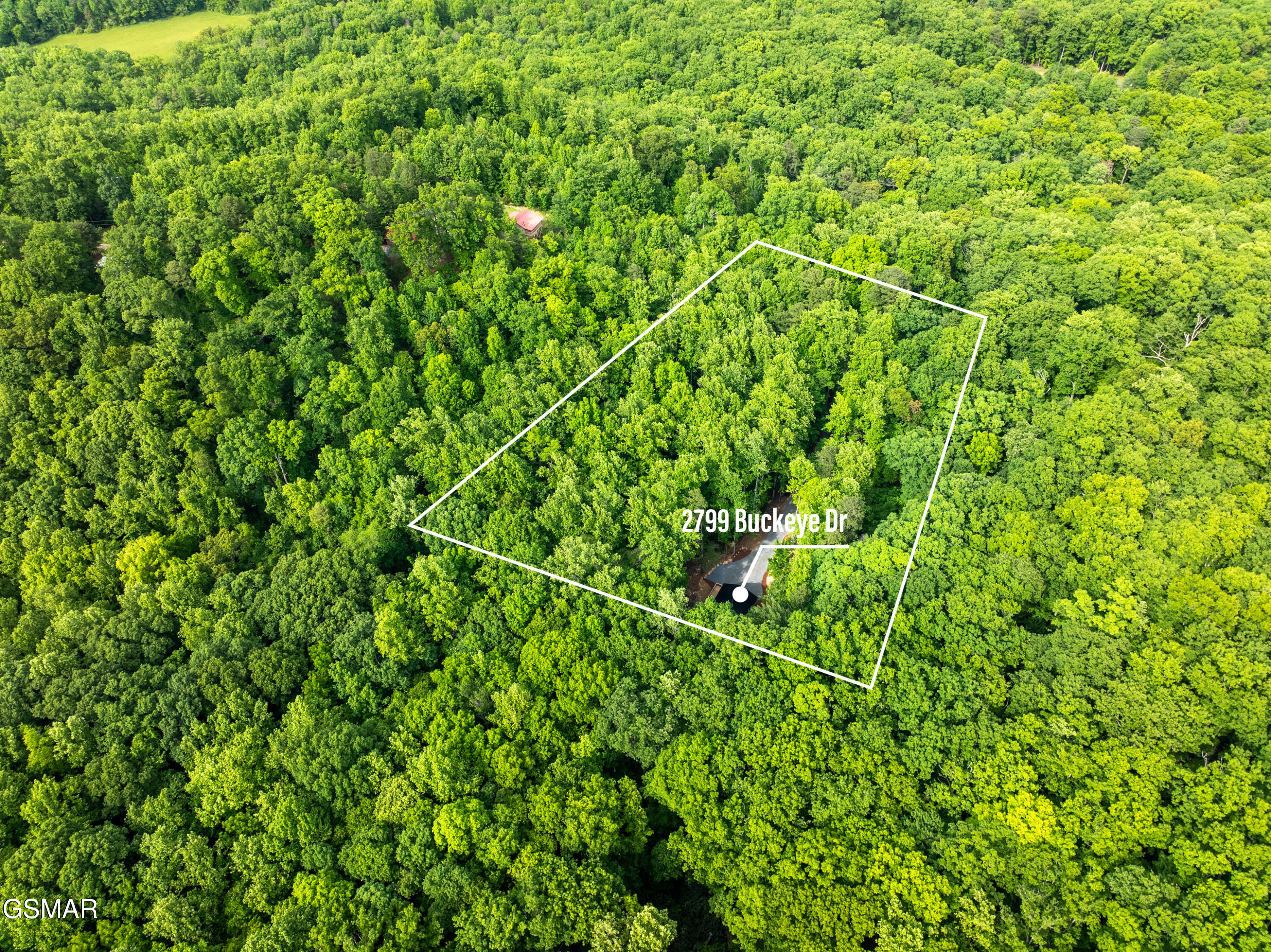 2799 Buckeye Drive Cosby TN 37722