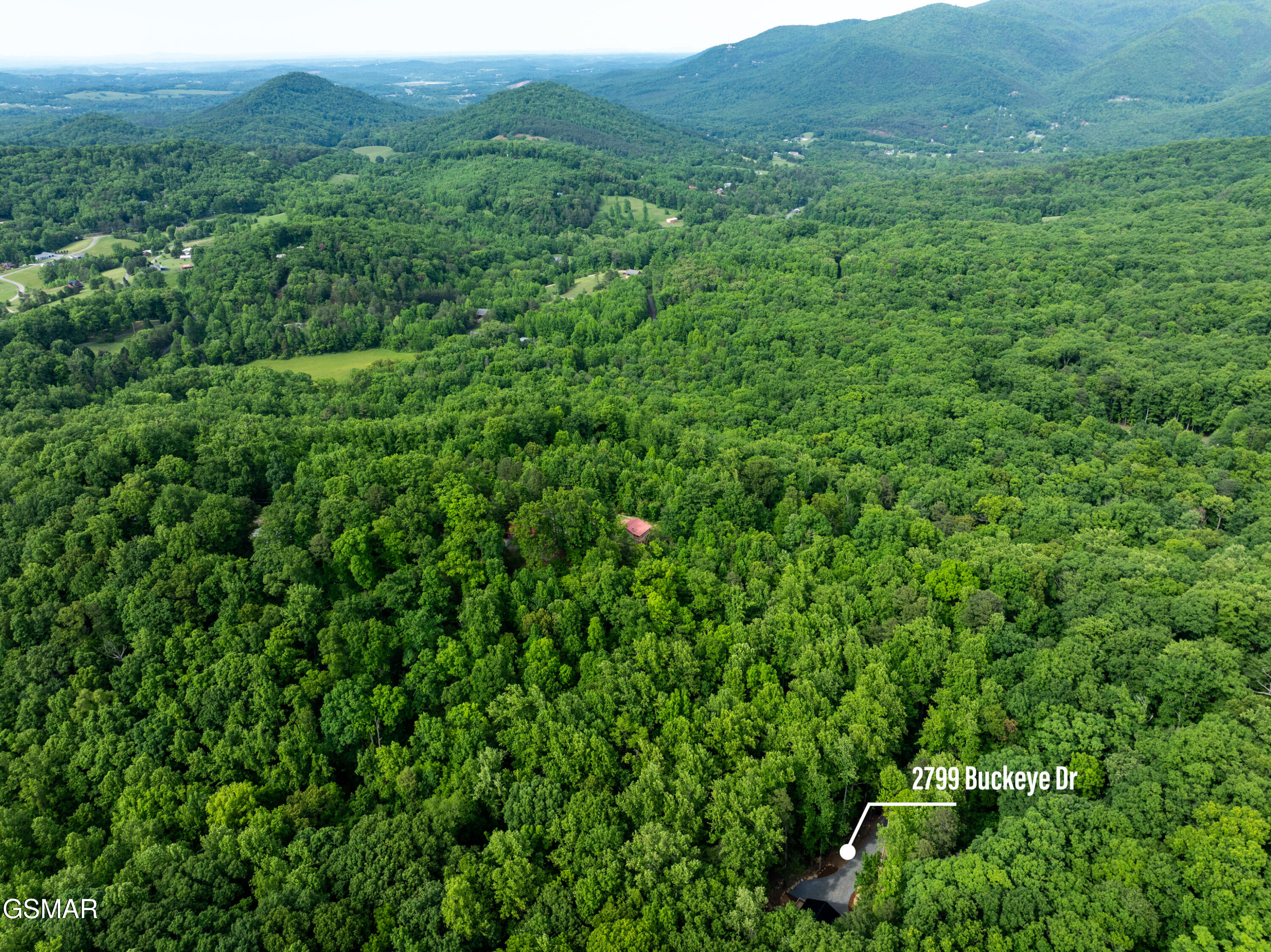 2799 Buckeye Drive Cosby TN 37722