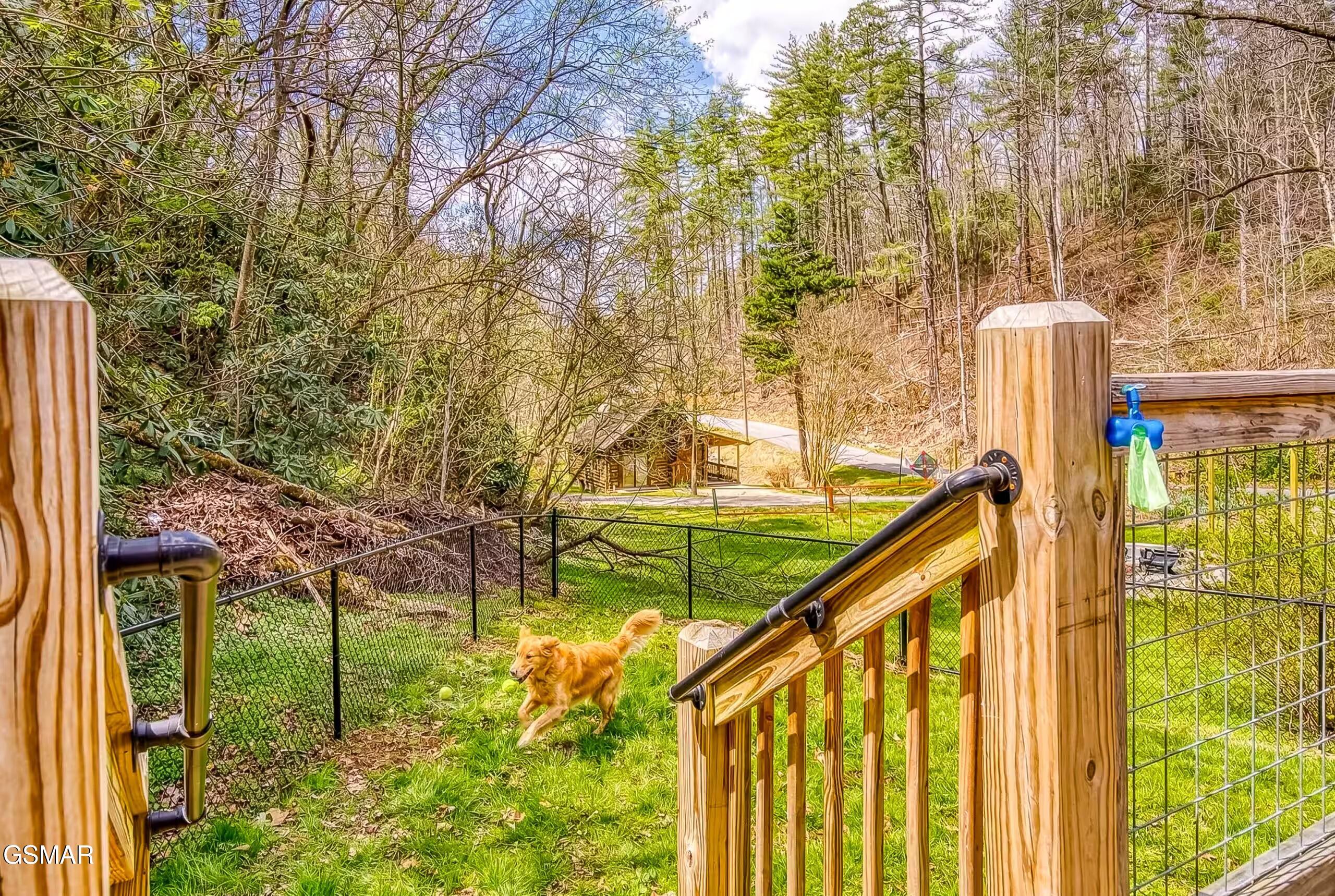 Sevierville TN