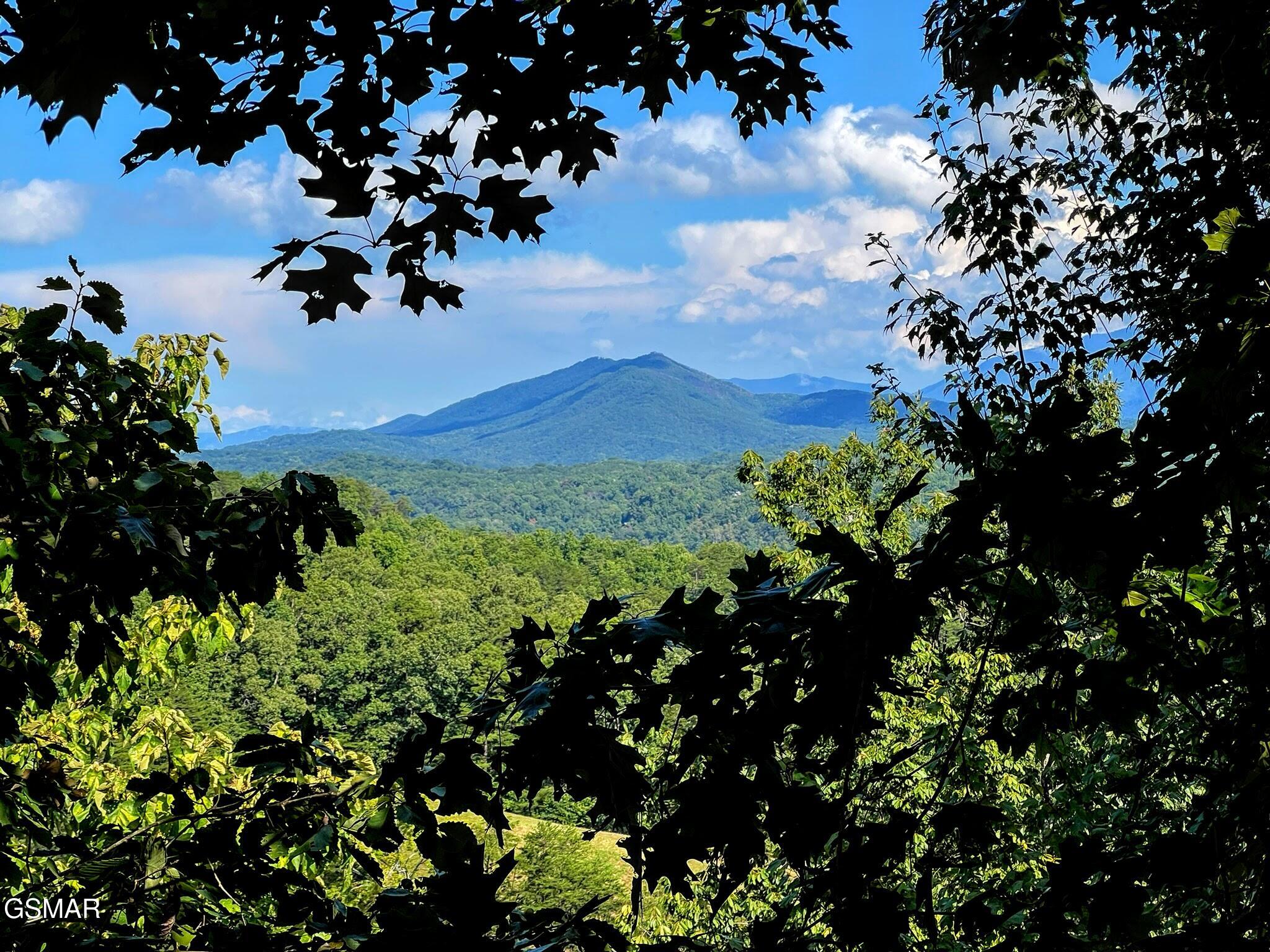 2251 Upper Middle Creek Road Sevierville TN 37876