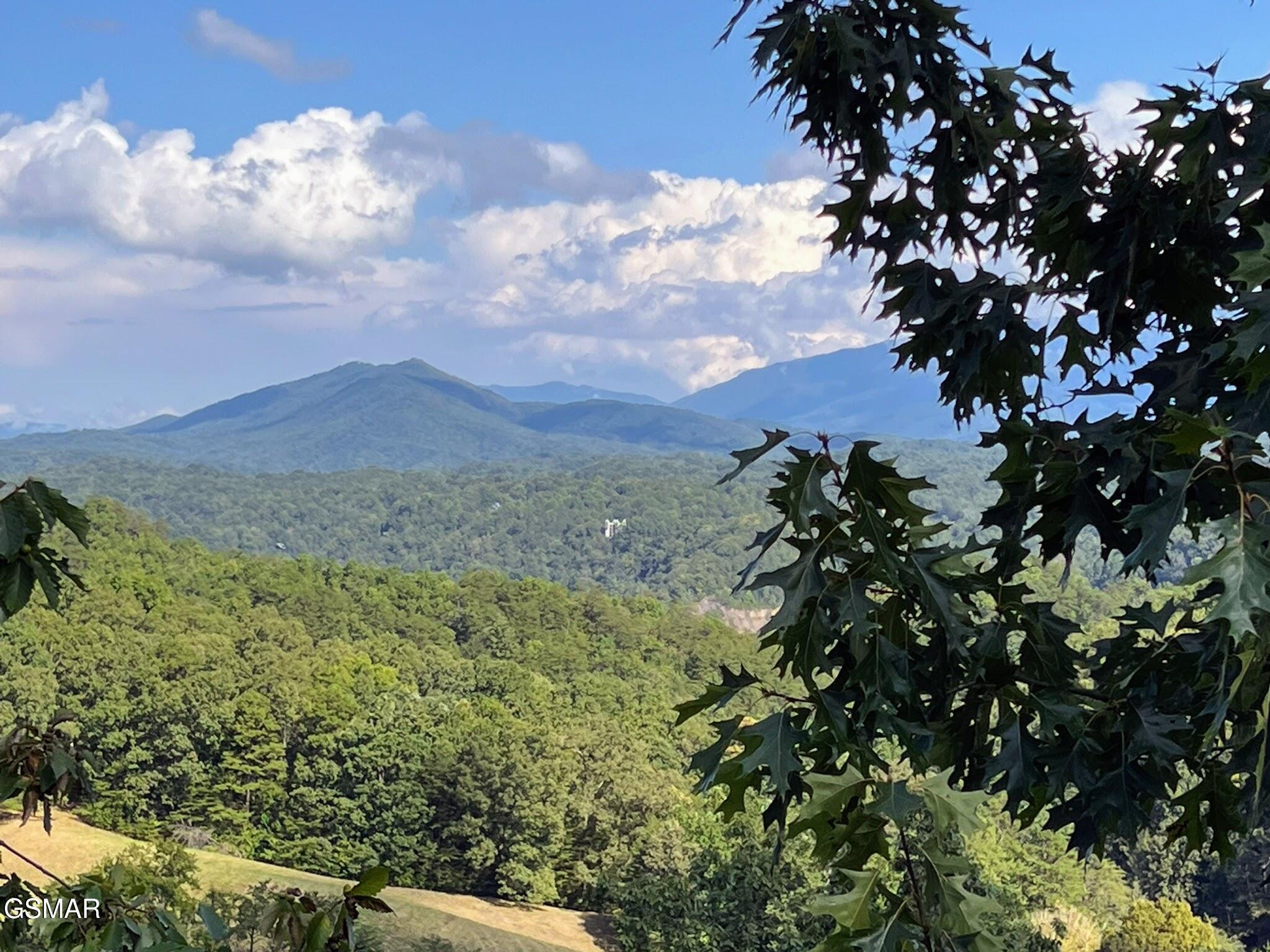 2251 Upper Middle Creek Road Sevierville TN 37876