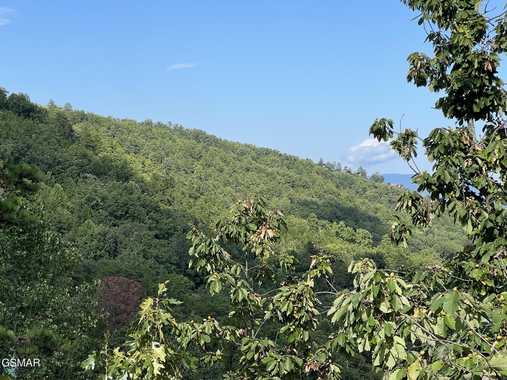 2251 Upper Middle Creek Road Sevierville TN 37876