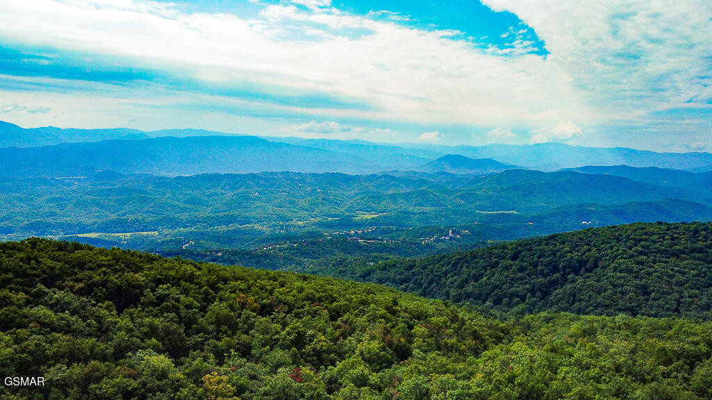 3142 Horse Gap Road Sevierville TN 37876