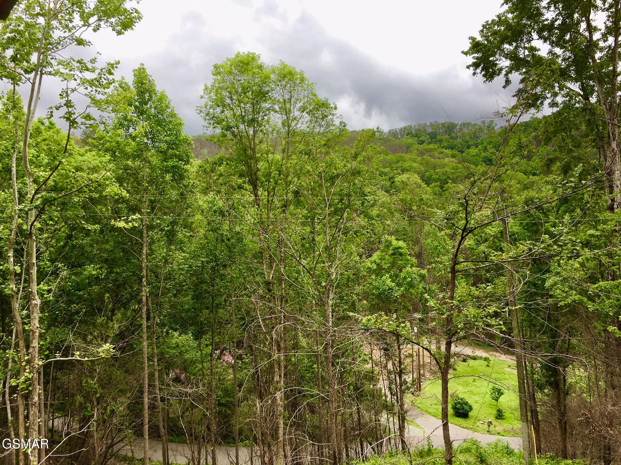 306 N Circle Drive Gatlinburg TN 37738