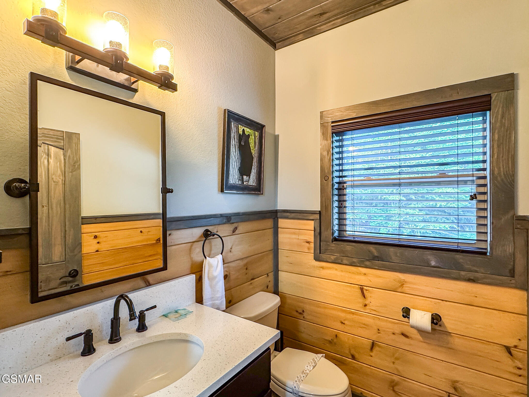 3036 Cloudburst Drive Sevierville TN 37862