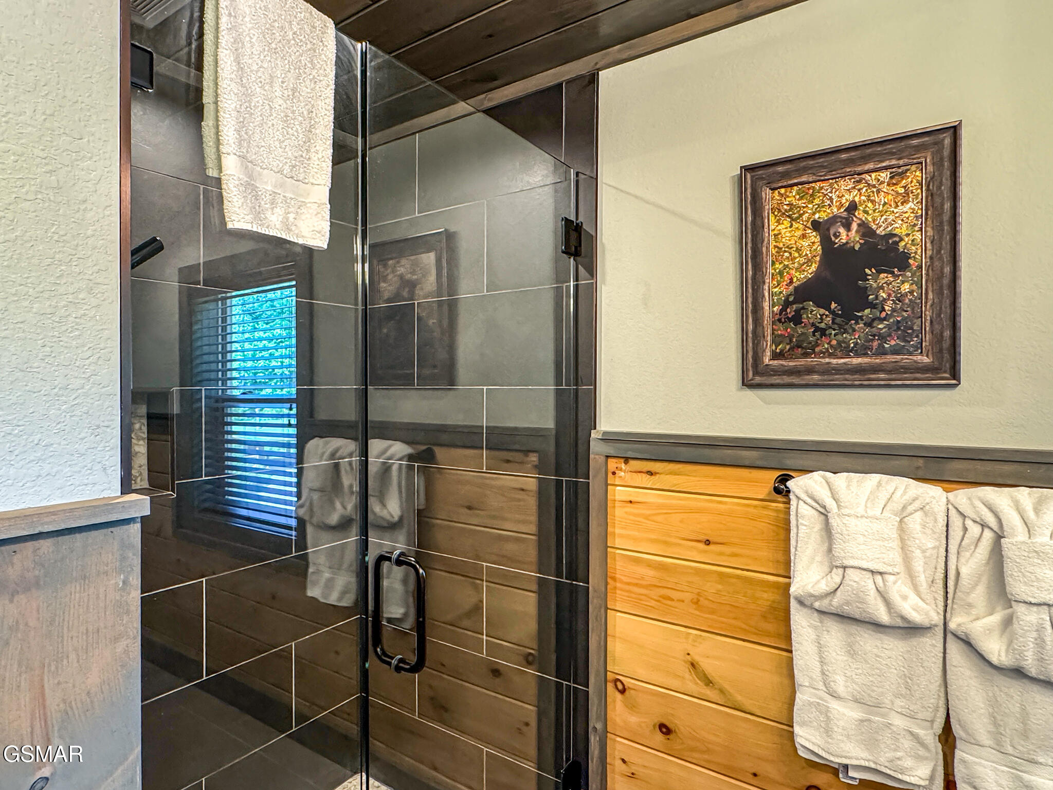 3036 Cloudburst Drive Sevierville TN 37862