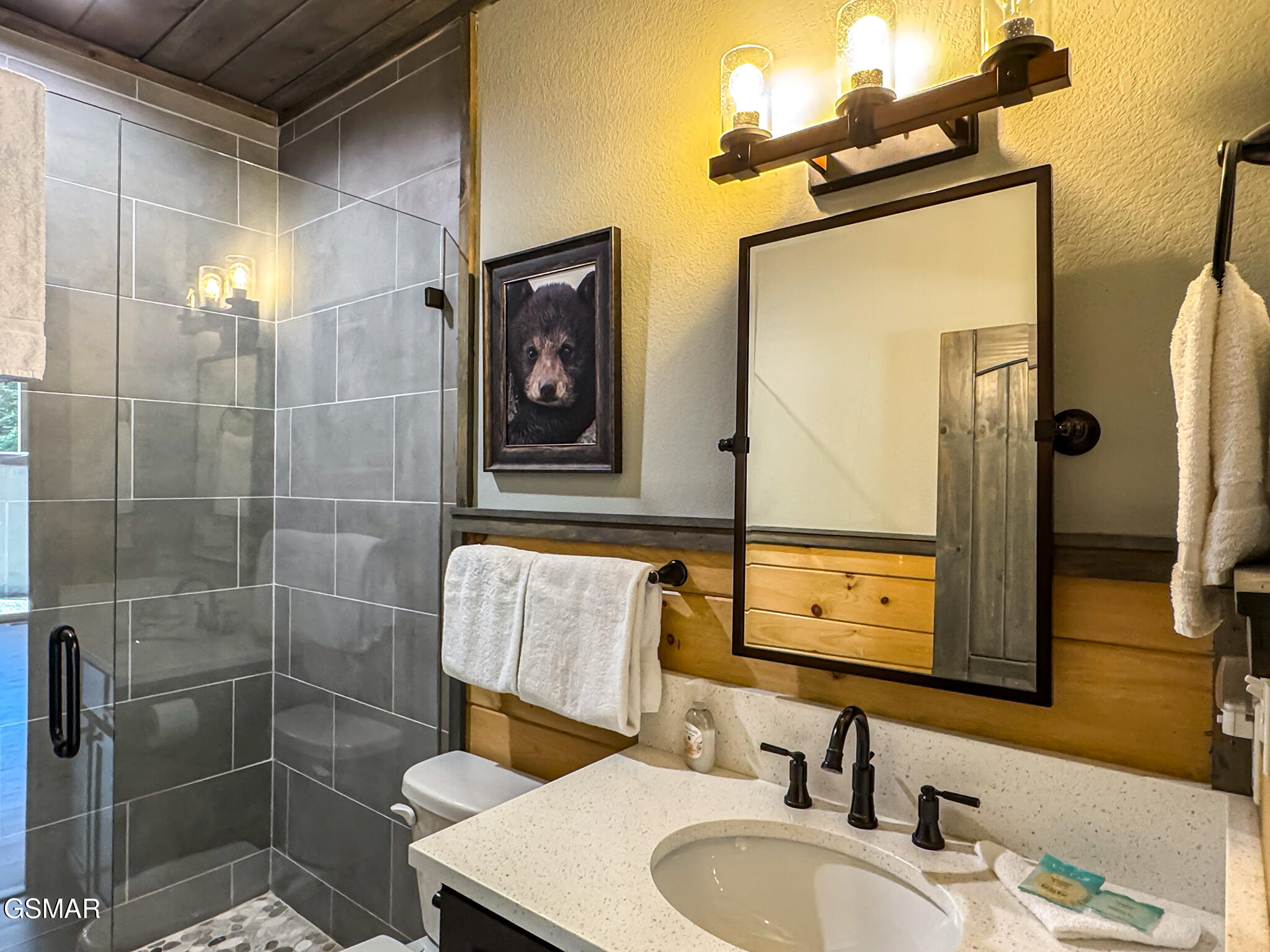 3036 Cloudburst Drive Sevierville TN 37862
