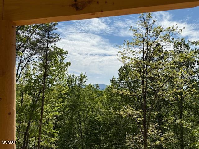 1541 Ski View Lane Lane Sevierville TN 37876