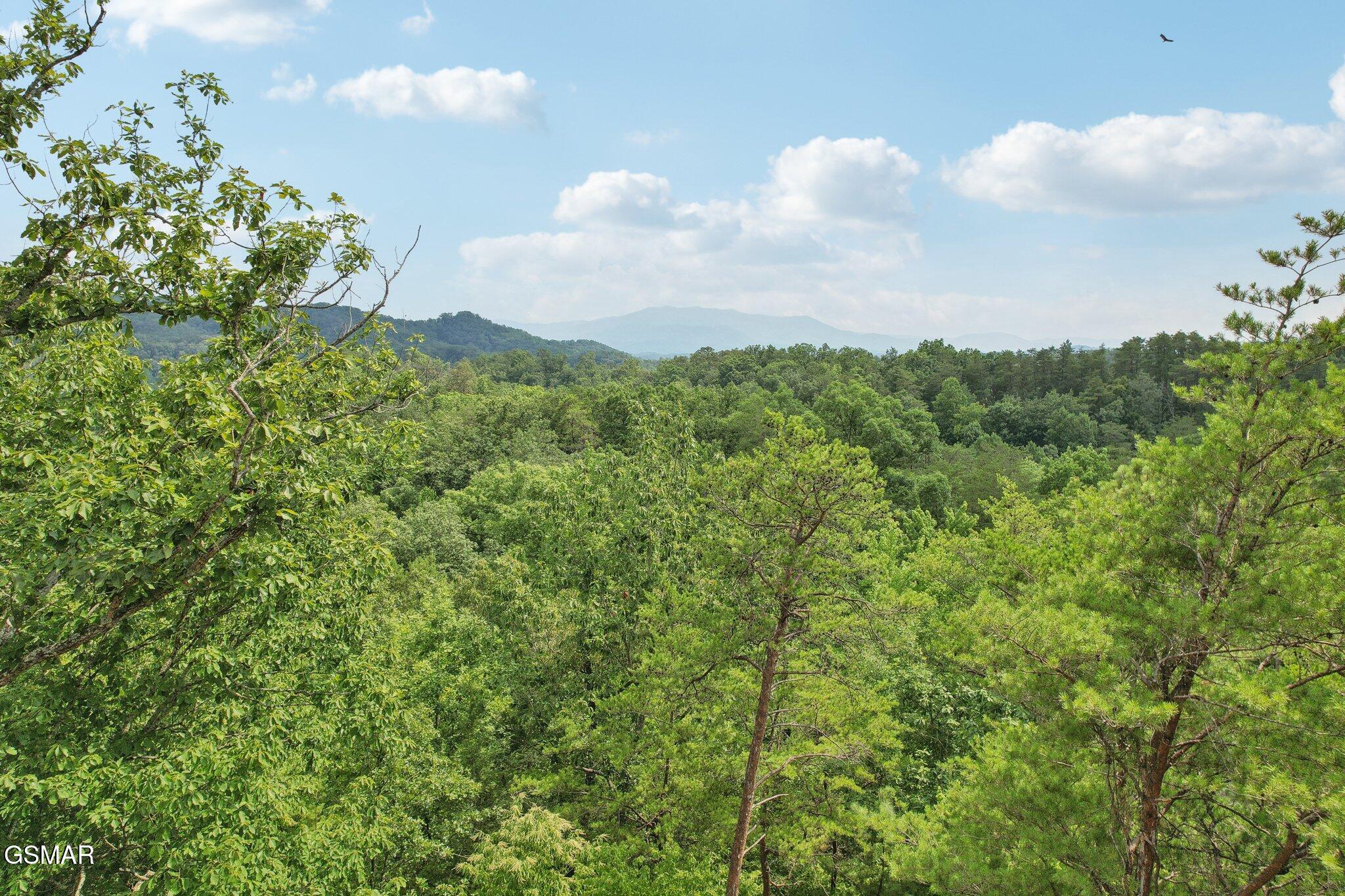 2616 Dogwood Loop Drive Sevierville TN 37876