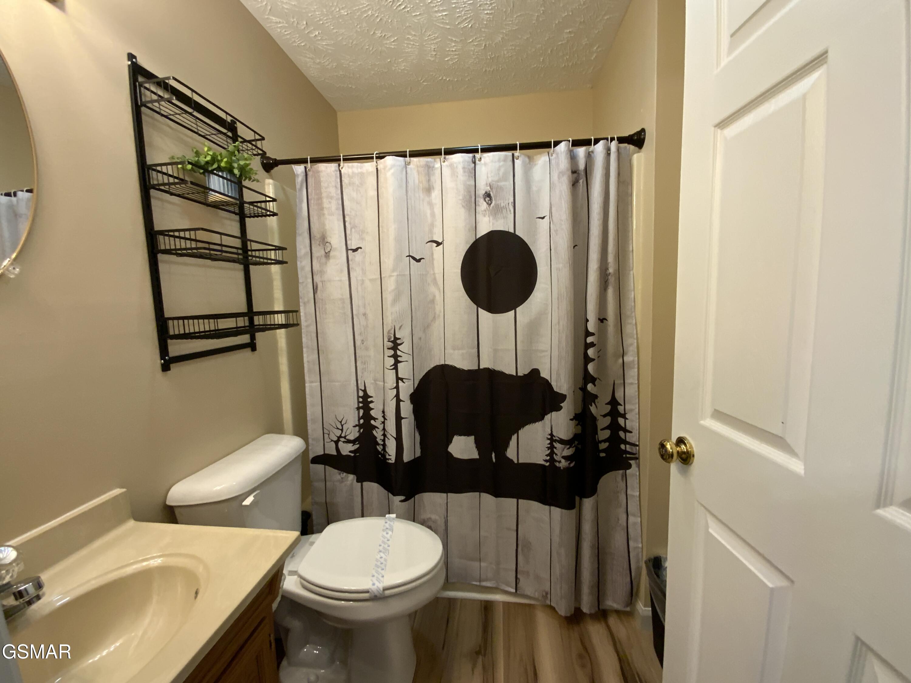 3740 Ivy Way Sevierville TN 37876