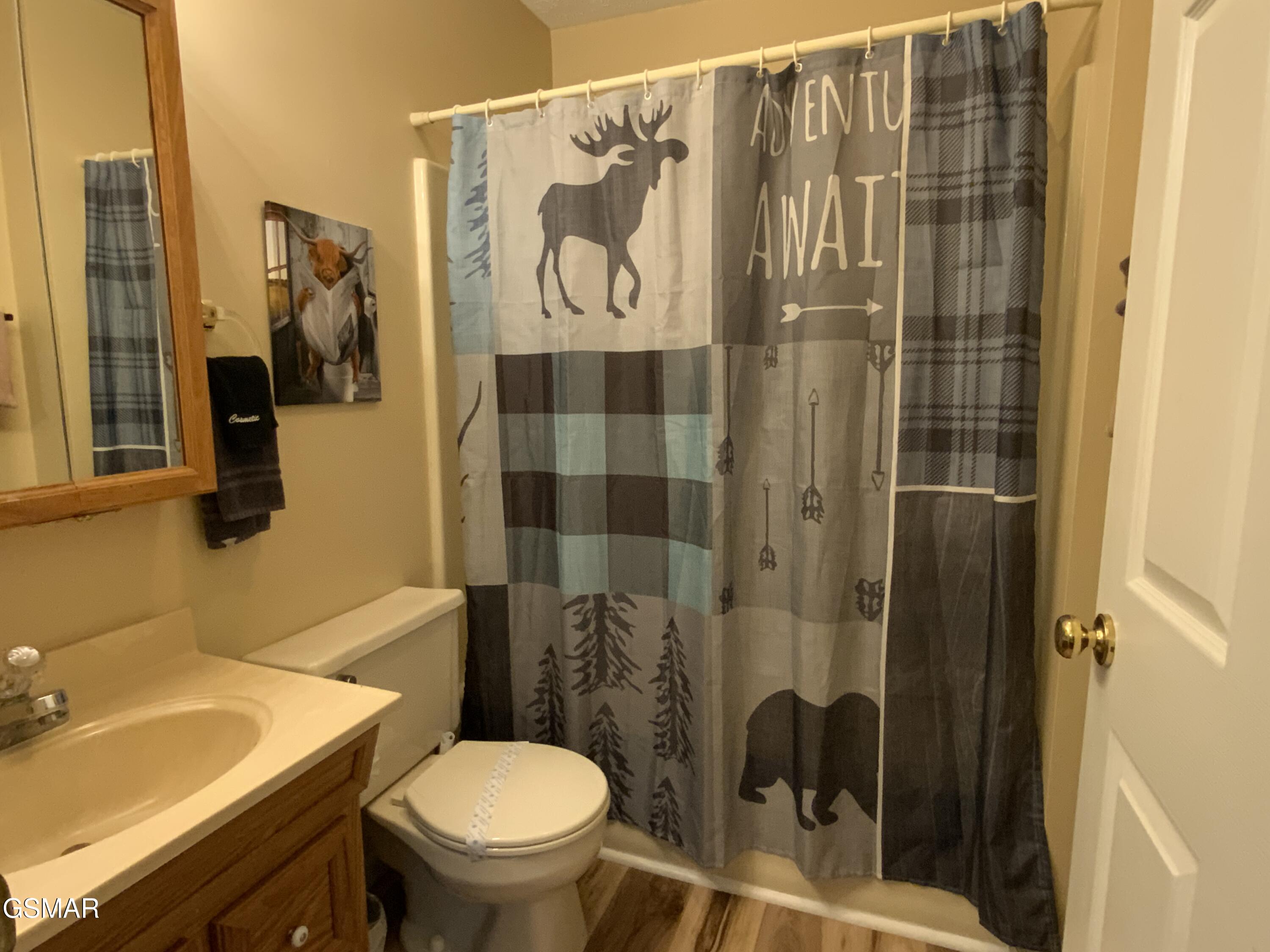 3740 Ivy Way Sevierville TN 37876