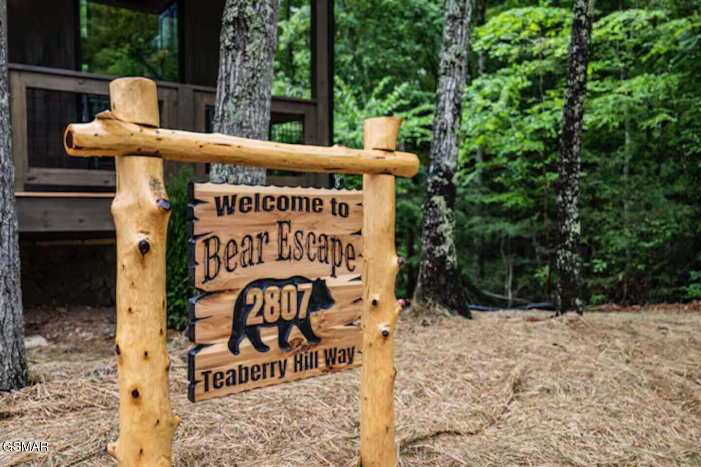 2807 Teaberry Hill Way Sevierville TN 37862