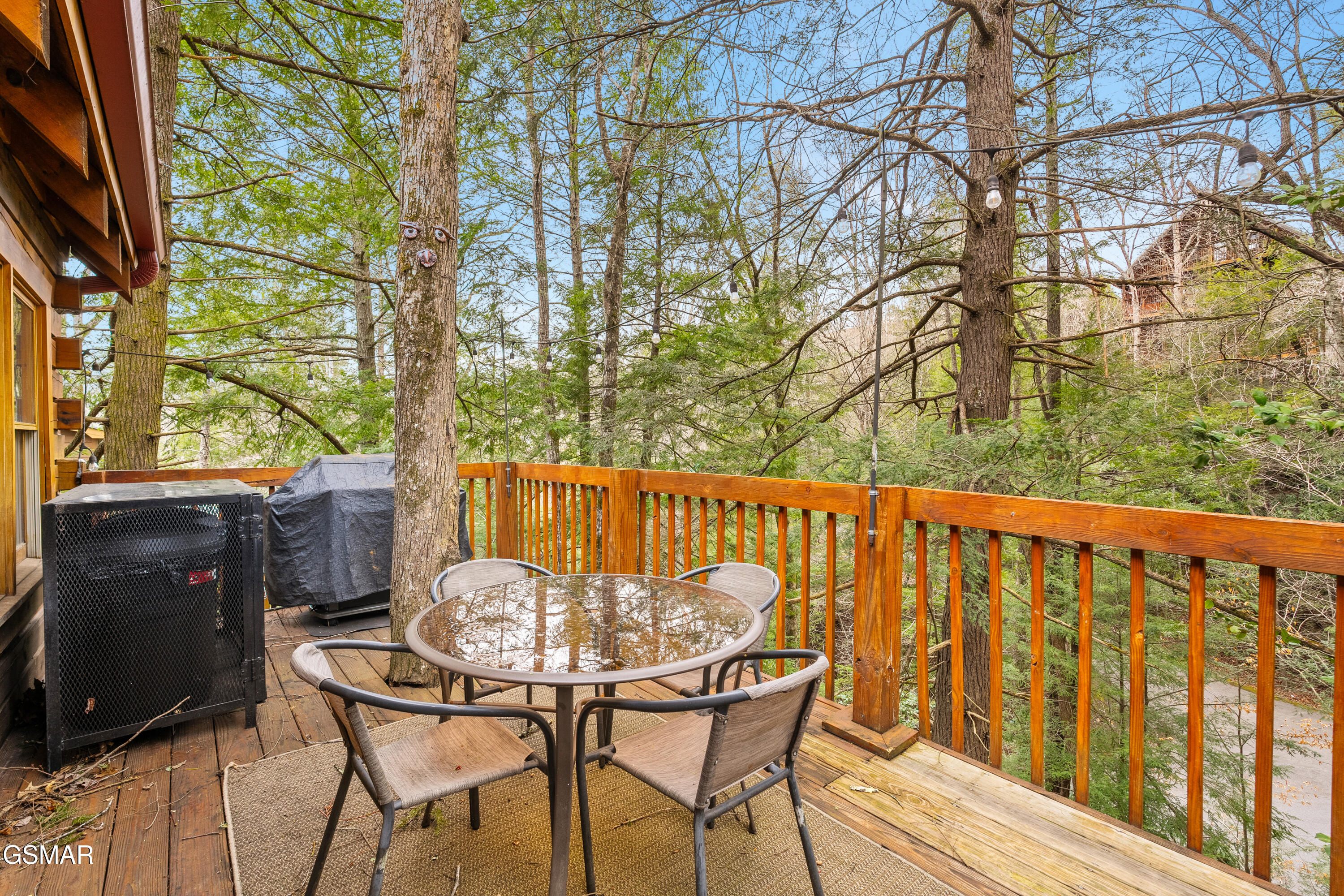 524 Hoot Owl Way Gatlinburg TN 37738