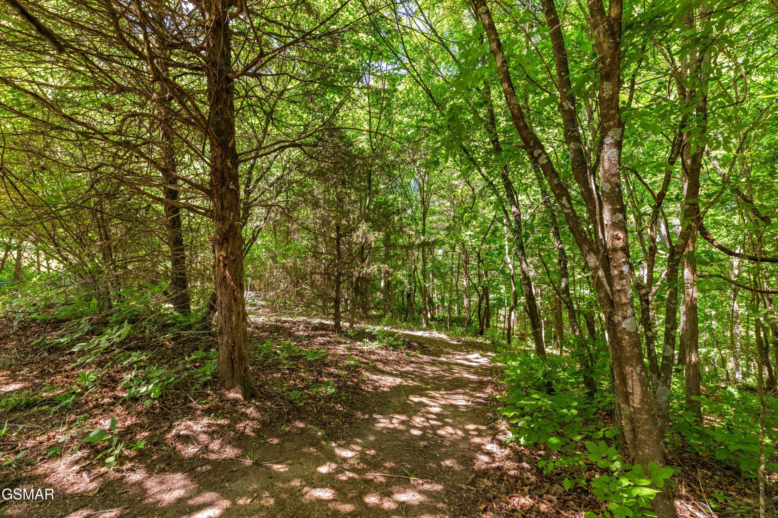 140 Windsong Drive Parrottsville TN 37843